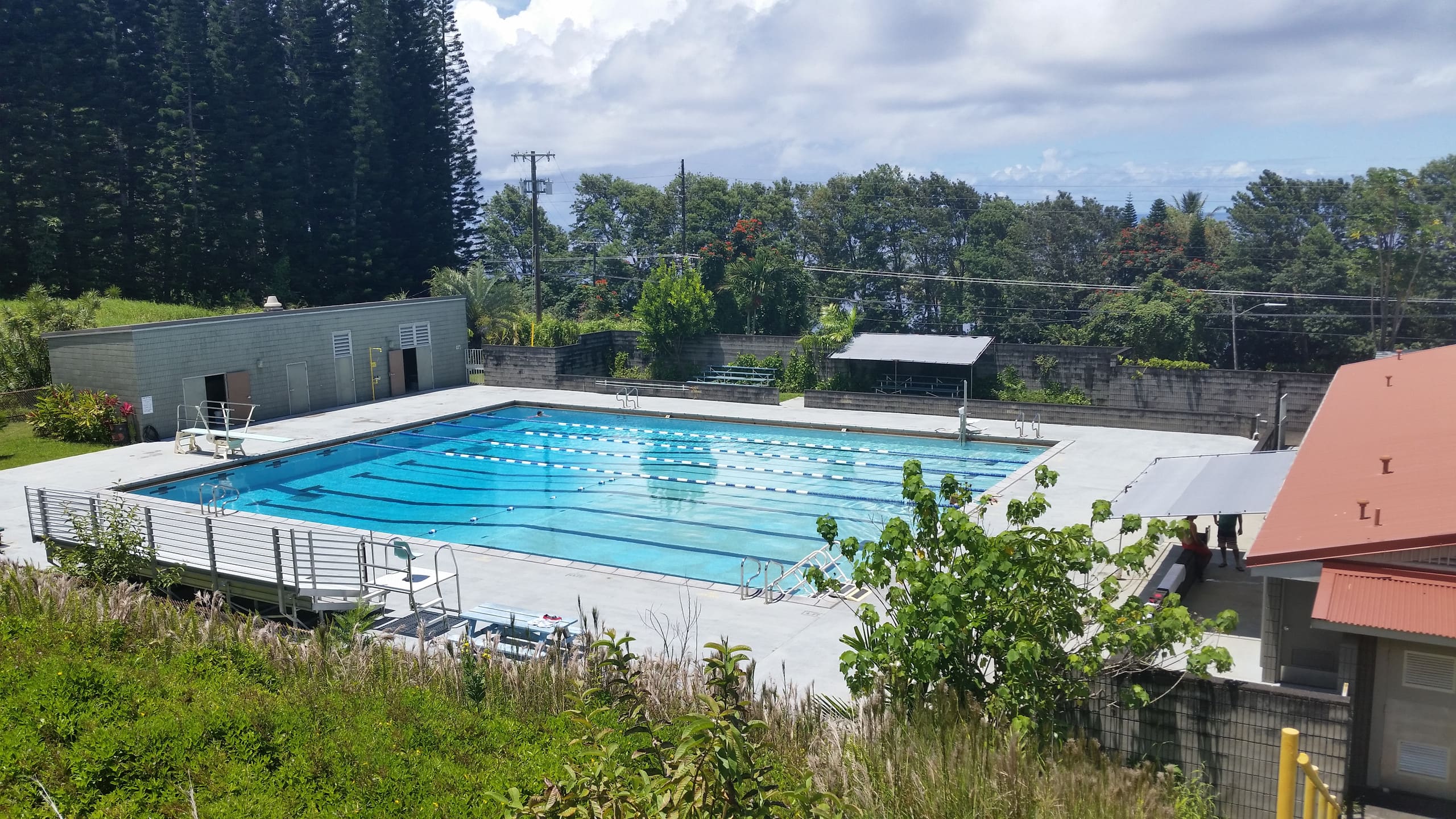 Home in Laupahoehoe · ★4.94 · 3 bedrooms · 3 beds · 3 baths - Photo 34