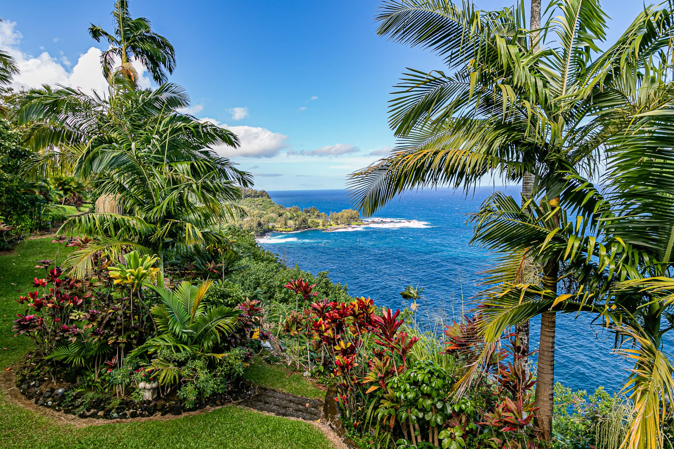 Home in Laupahoehoe · ★4.94 · 3 bedrooms · 3 beds · 3 baths - Photo 28