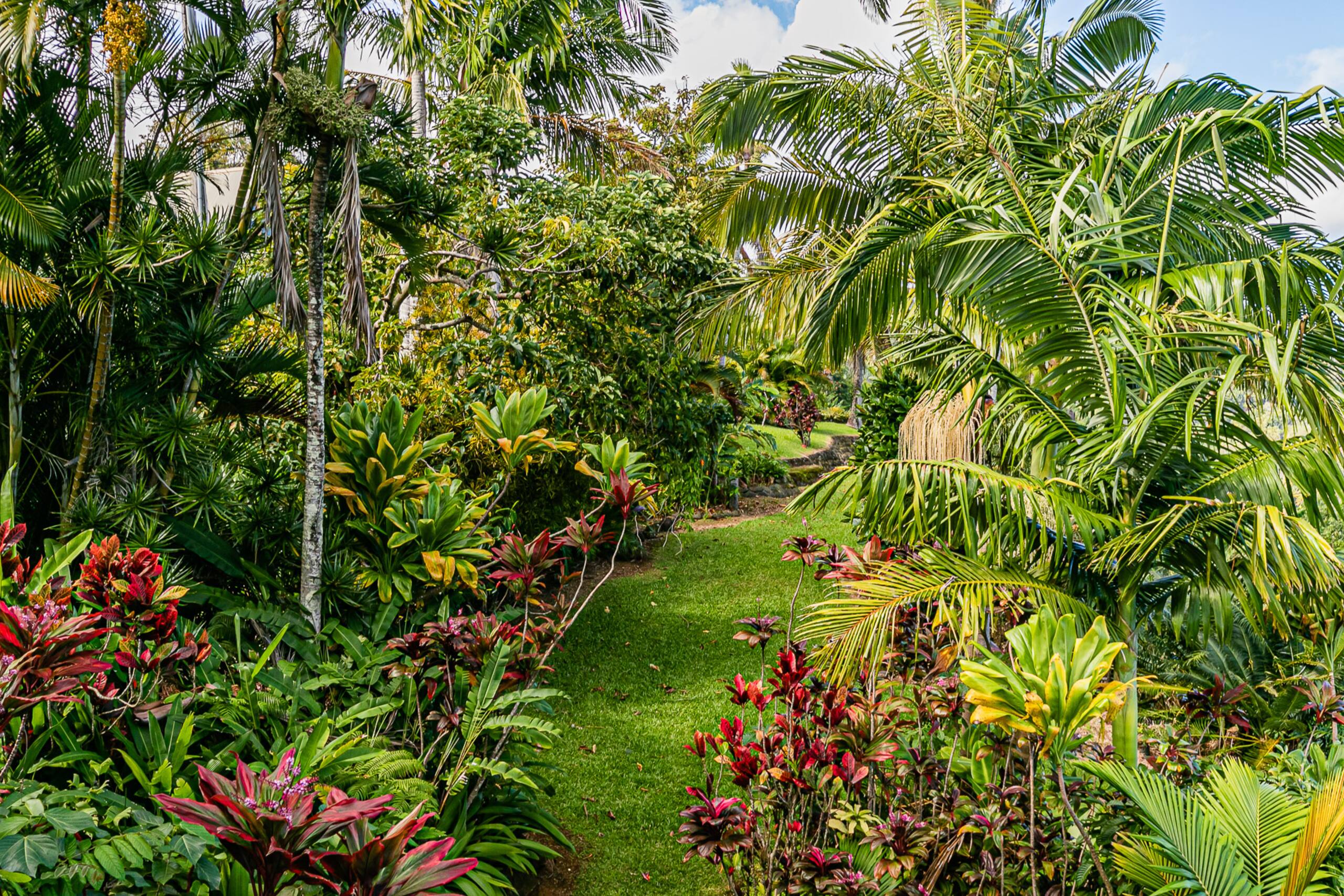 Home in Laupahoehoe · ★4.94 · 3 bedrooms · 3 beds · 3 baths - Photo 36