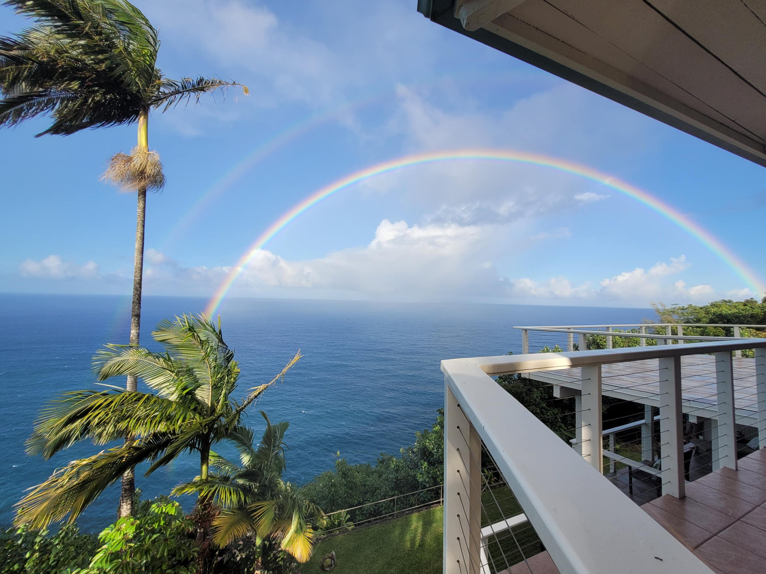 Home in Laupahoehoe · ★4.94 · 3 bedrooms · 3 beds · 3 baths - Photo 27