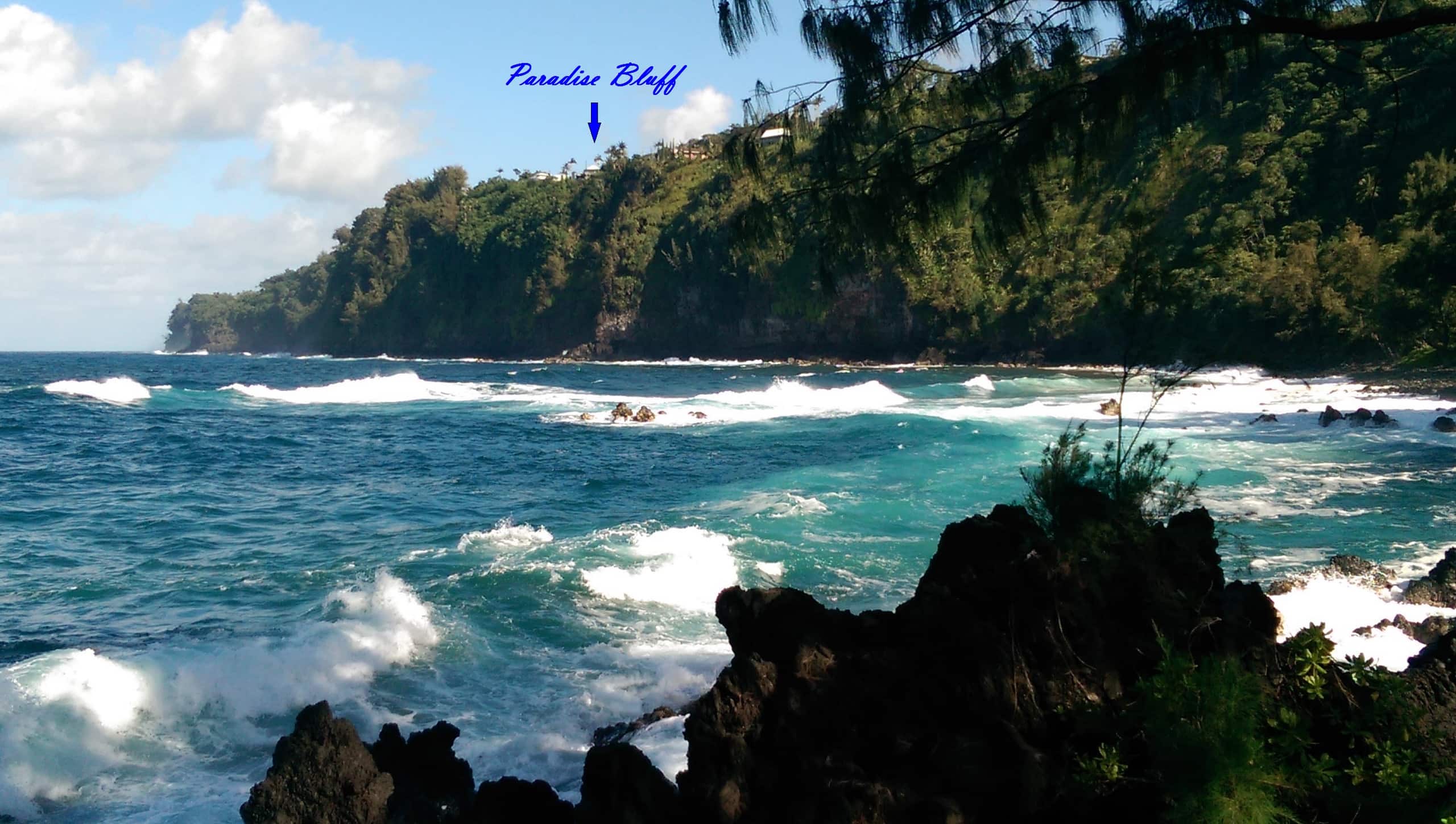 Home in Laupahoehoe · ★4.94 · 3 bedrooms · 3 beds · 3 baths - Photo 31