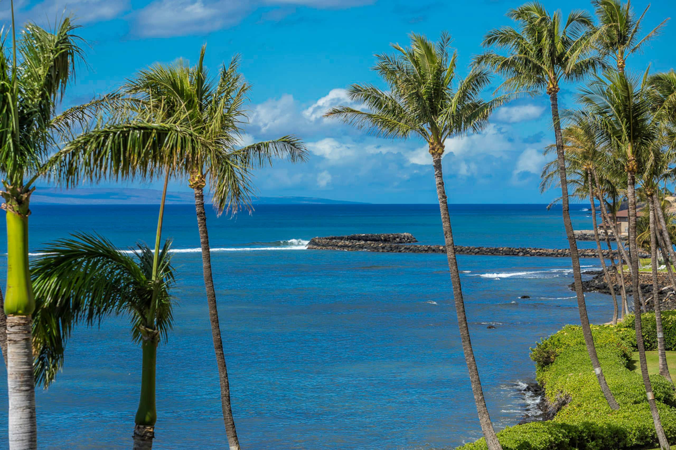 Condo in Wailuku · ★4.82 · 1 bedroom · 2 beds · 1 shared bath - Image 48