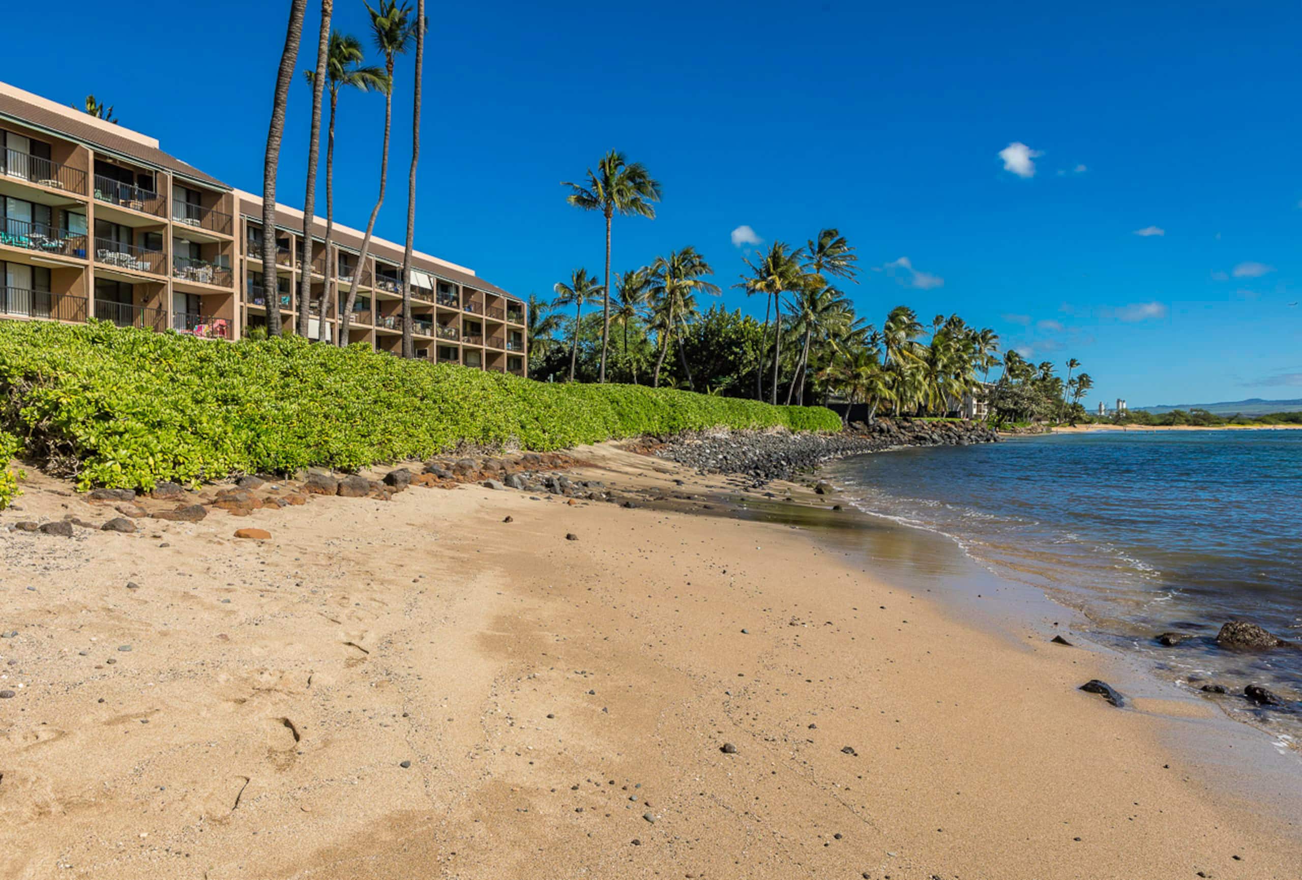 Condo in Wailuku · ★4.82 · 1 bedroom · 2 beds · 1 shared bath - Image 34