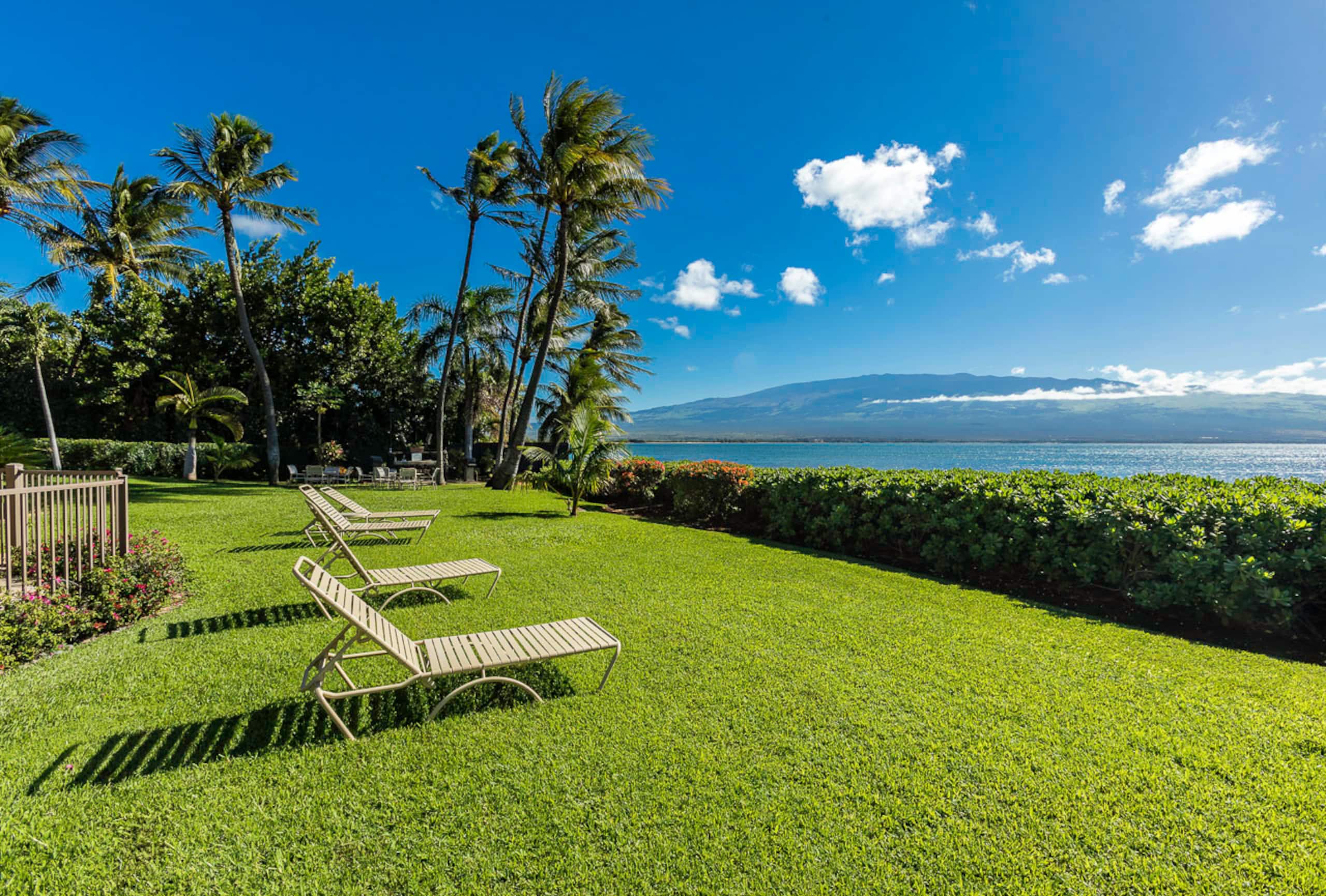 Condo in Wailuku · ★4.82 · 1 bedroom · 2 beds · 1 shared bath - Image 38