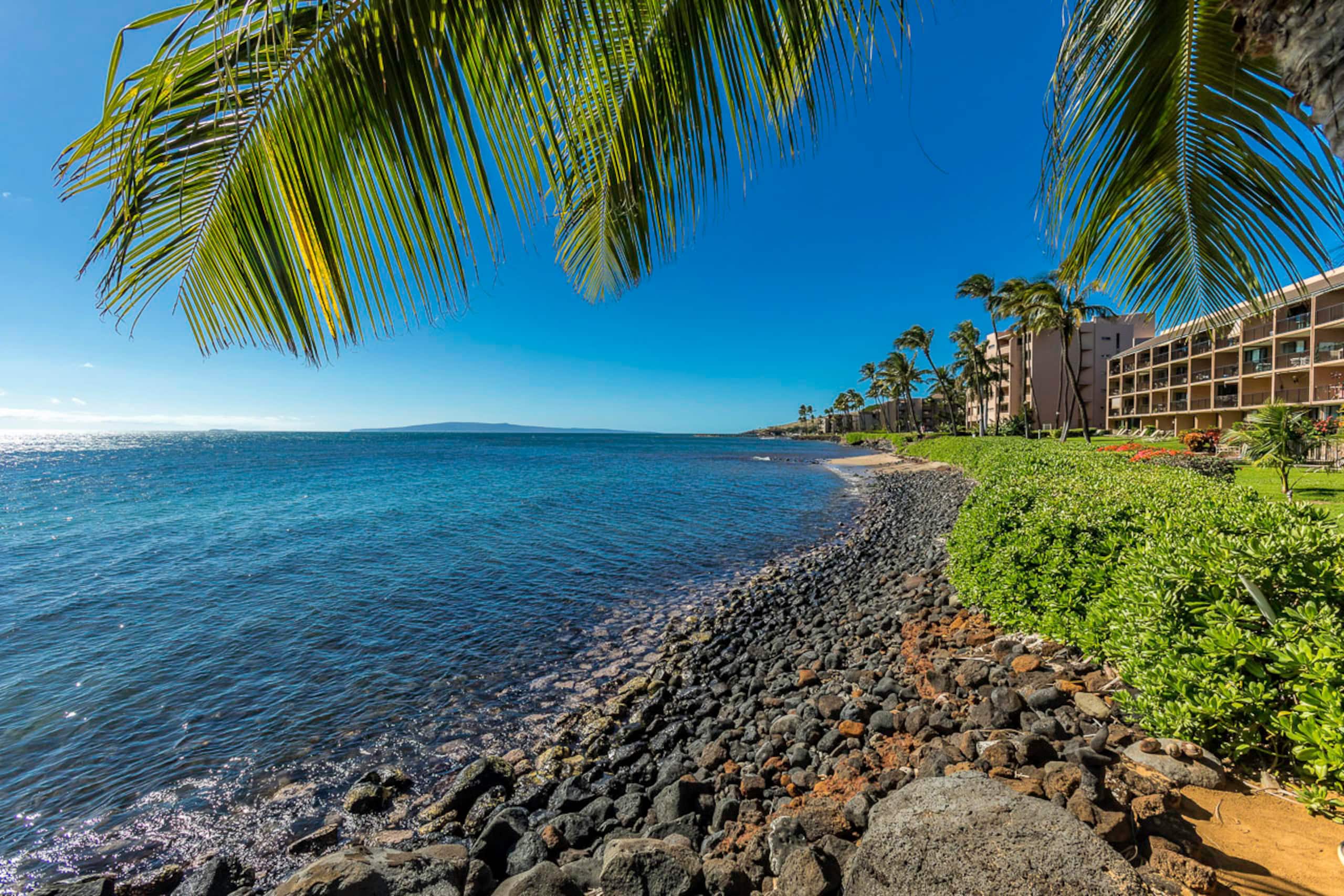 Condo in Wailuku · ★4.82 · 1 bedroom · 2 beds · 1 shared bath - Image 42