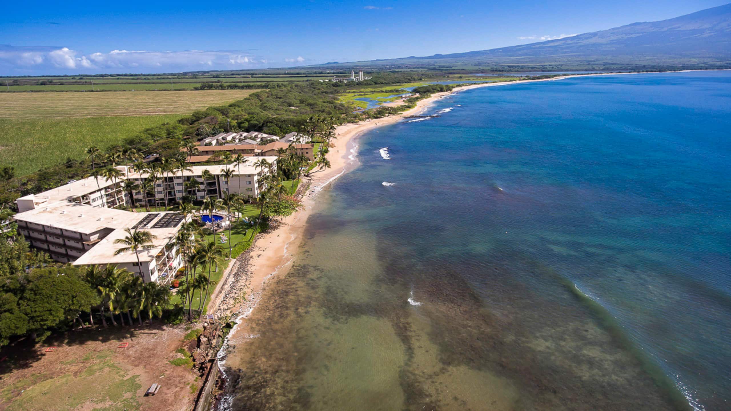 Condo in Wailuku · ★4.82 · 1 bedroom · 2 beds · 1 shared bath - Image 24