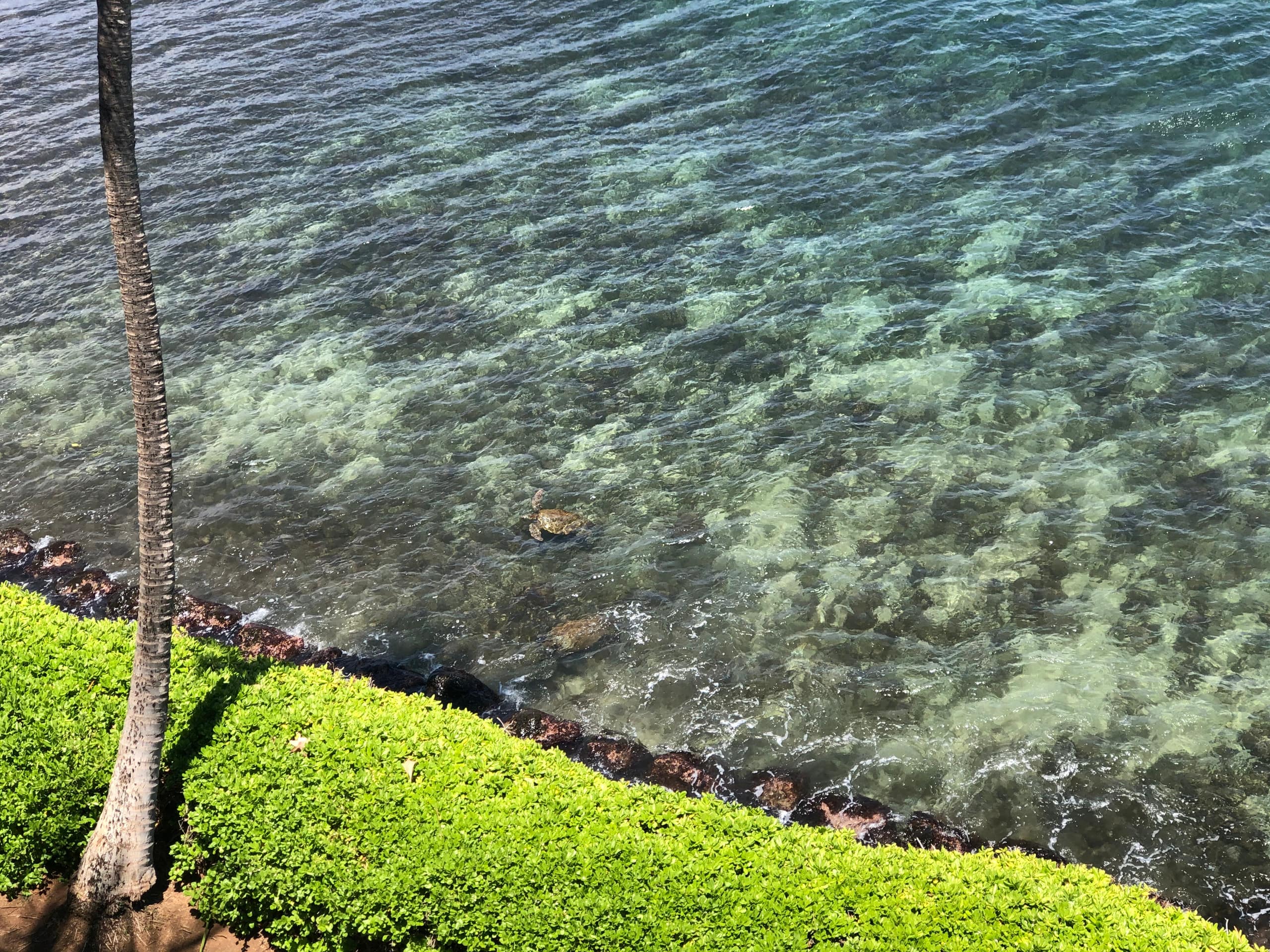 Condo in Wailuku · ★4.78 · 2 bedrooms · 2 beds · 2 baths - Image 27