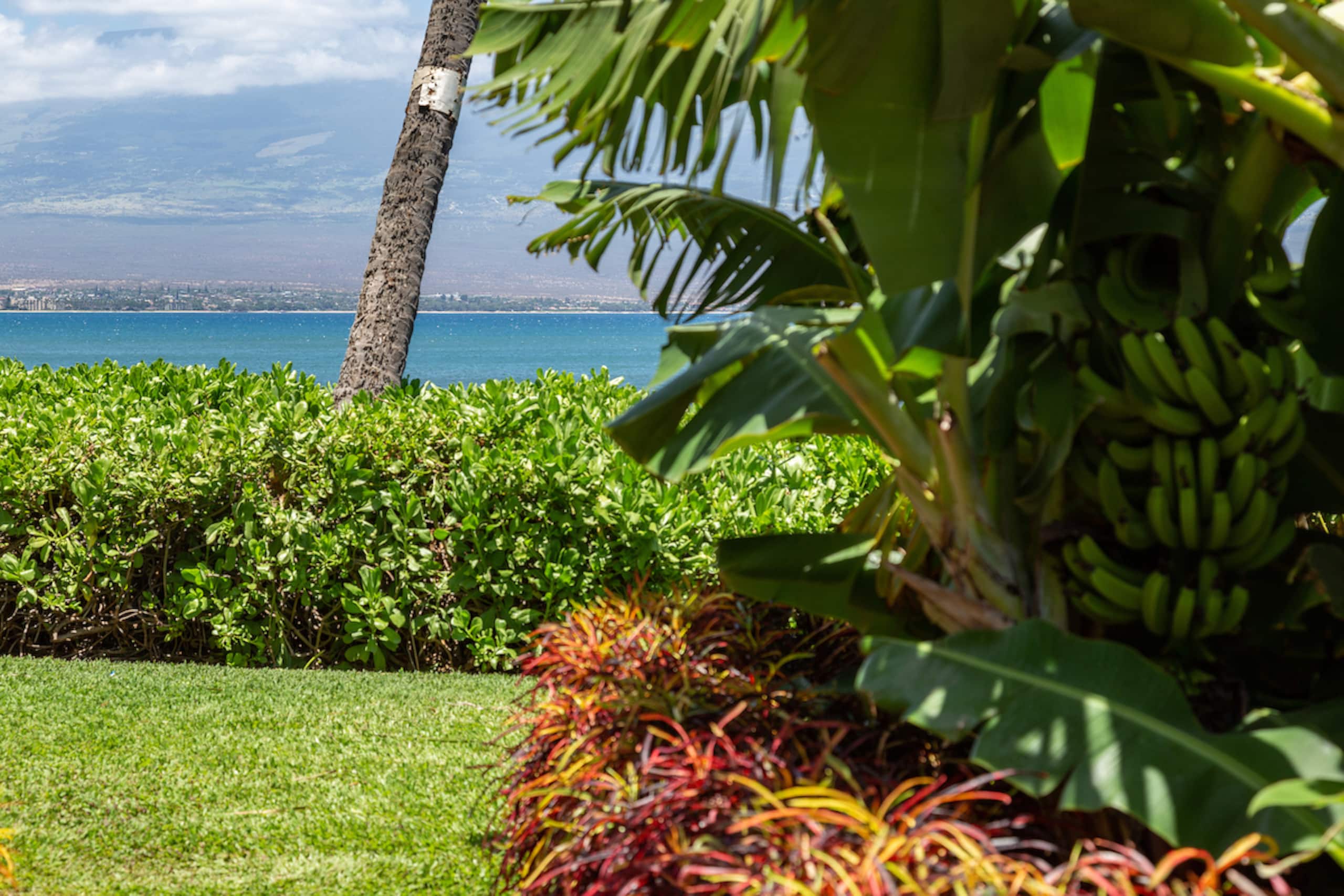 Condo in Wailuku · ★4.78 · 2 bedrooms · 2 beds · 2 baths - Image 43