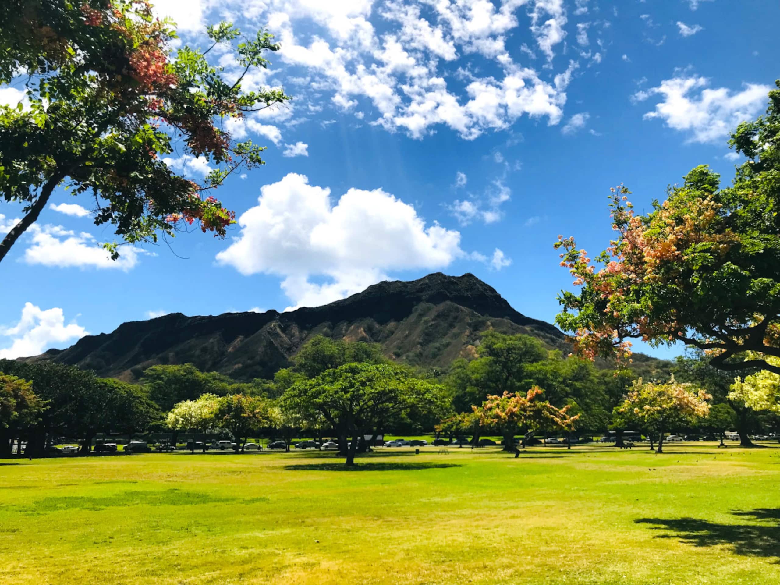 Condo in Honolulu · ★4.5 · 1 bedroom · 3 beds · 1 private bath - Image 40