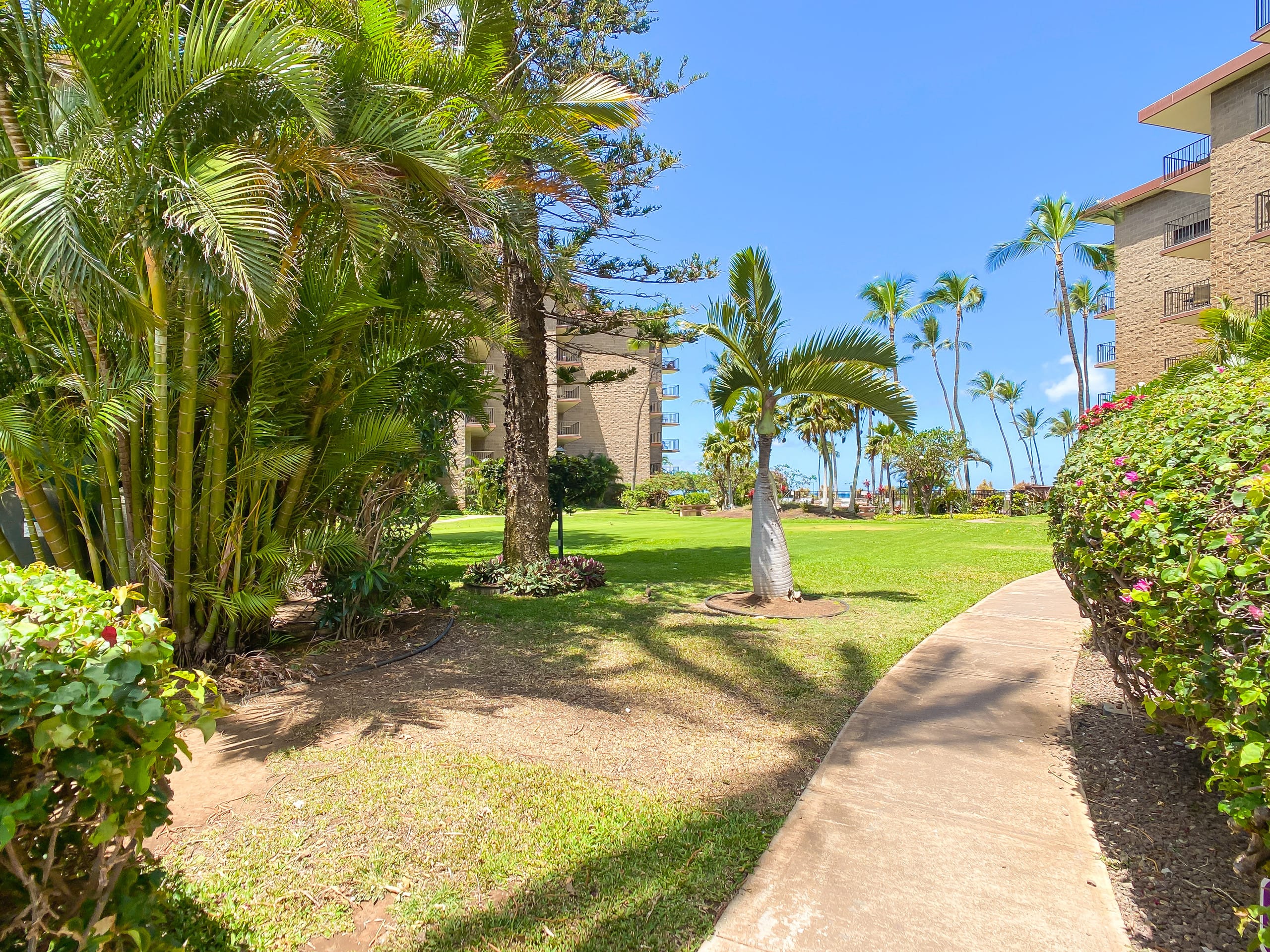 Condo in Kihei · ★4.38 · 2 bedrooms · 3 beds · 2 private baths - Image 34