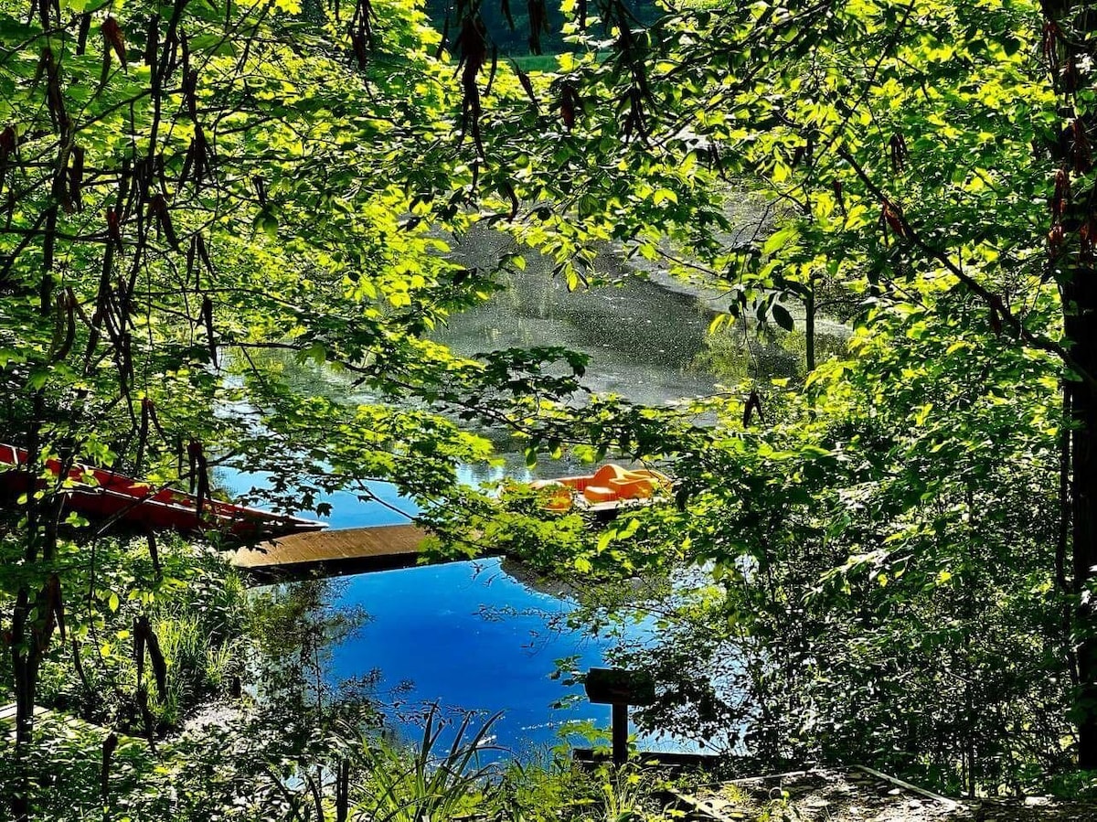 A serene pond is framed by lush greenery, with a glimpse of a paddle boat resting gently on the water's surface. Sunlight filters through the leaves, enhancing the peaceful atmosphere of the natural setting.