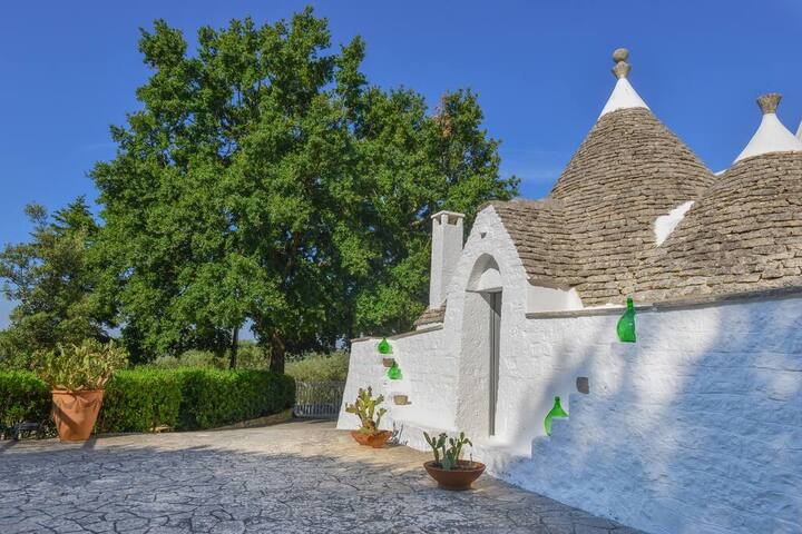 Il giardino di don mimì gallery image 3