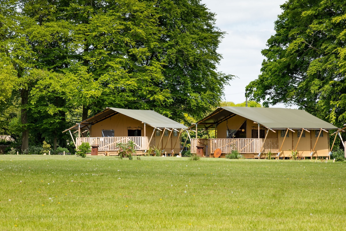Two spacious safari tents are set within a lush green field, surrounded by tall trees. Each tent features a wooden deck with railings and direct access to the expansive outdoor space, inviting relaxation in nature.