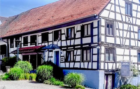 Nice home in Gottmadingen with WiFi