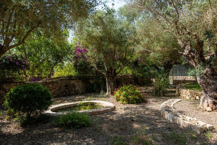 Son Moix gallery image 3