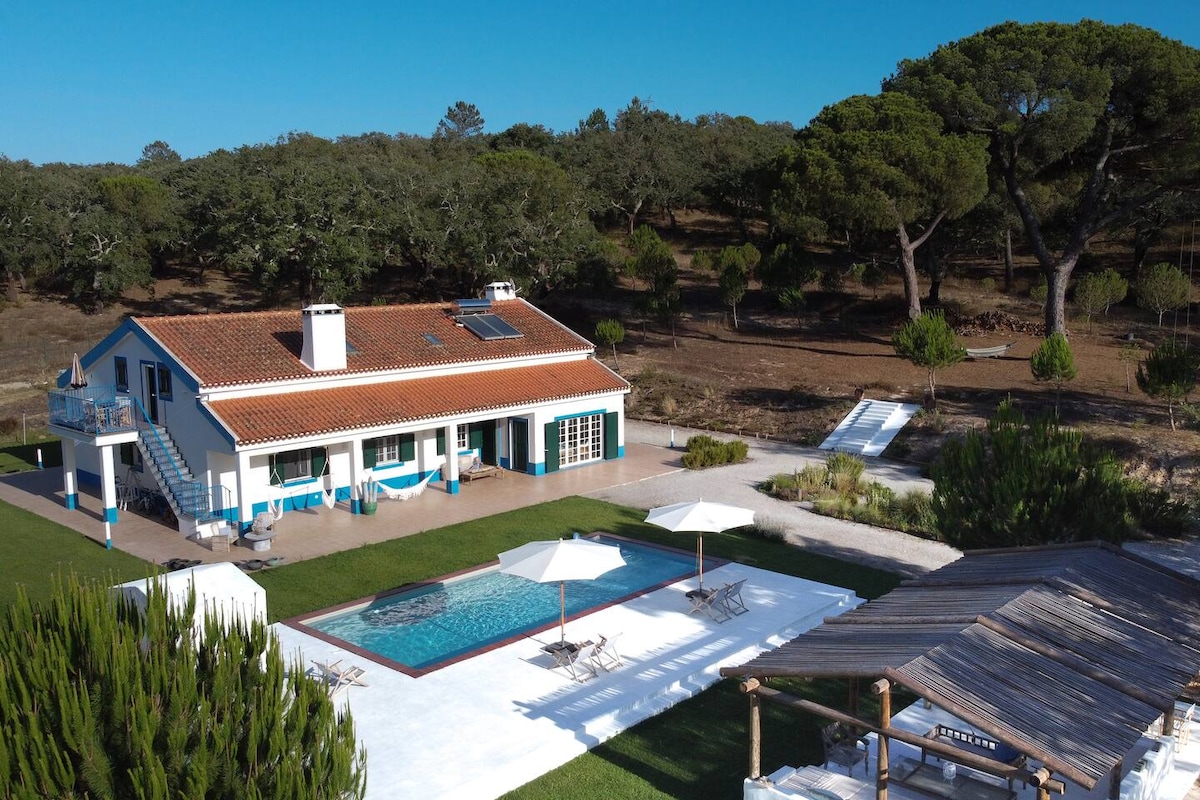 The villa is showcased from above, highlighting its white and blue architectural style. An inviting swimming pool is surrounded by sun loungers and umbrellas, complementing the neatly landscaped garden. A picturesque cabana is visible, set amid trees that provide natural shade.