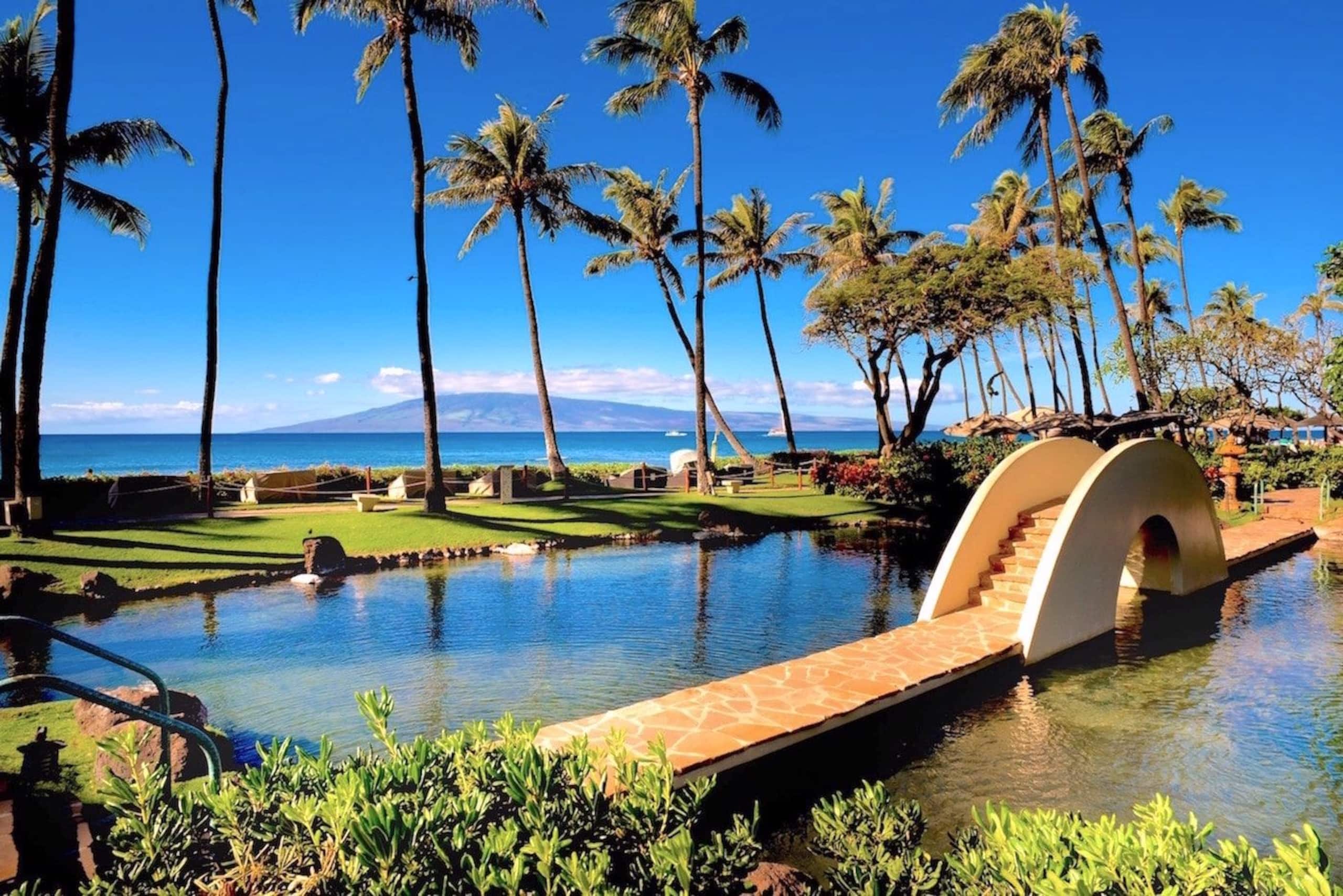 Condo in Lahaina · ★5.0 · 2 bedrooms · 4 beds · 2 baths - Image 22