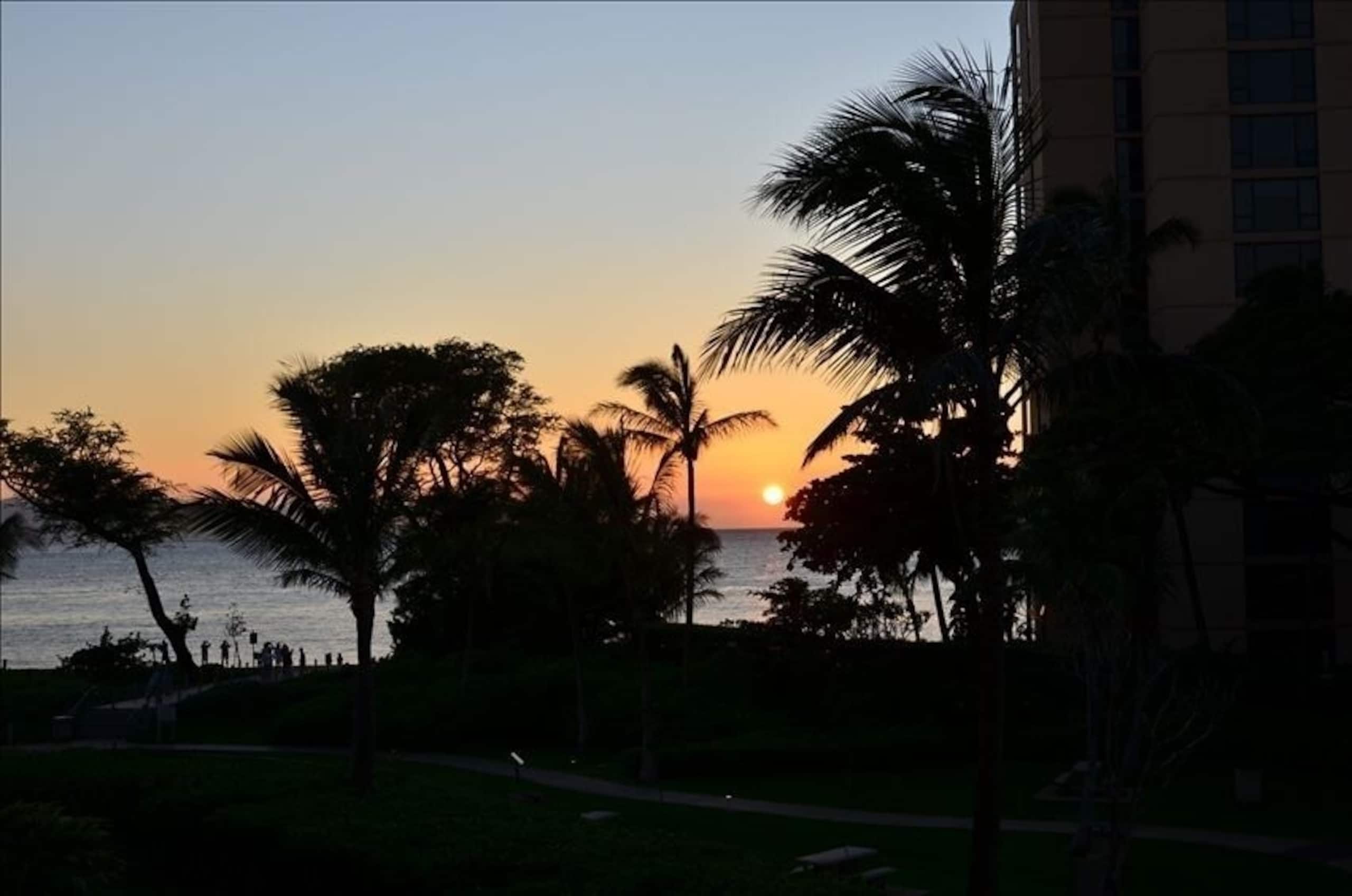Condo in Lahaina · ★4.91 · 1 bedroom · 2 beds · 1 bath - Image 6