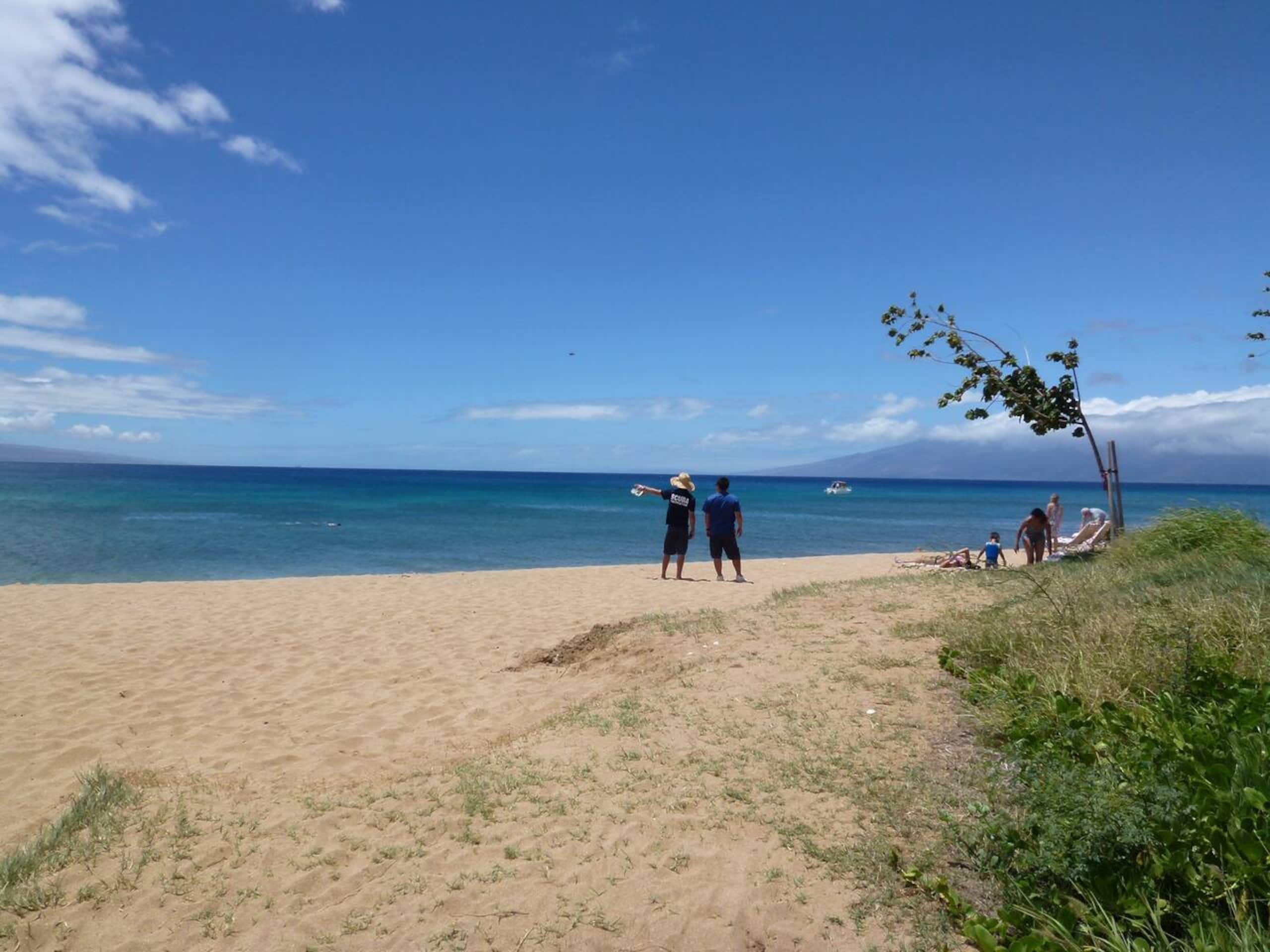 Condo in Lahaina · ★4.91 · 1 bedroom · 2 beds · 1 bath - Image 29