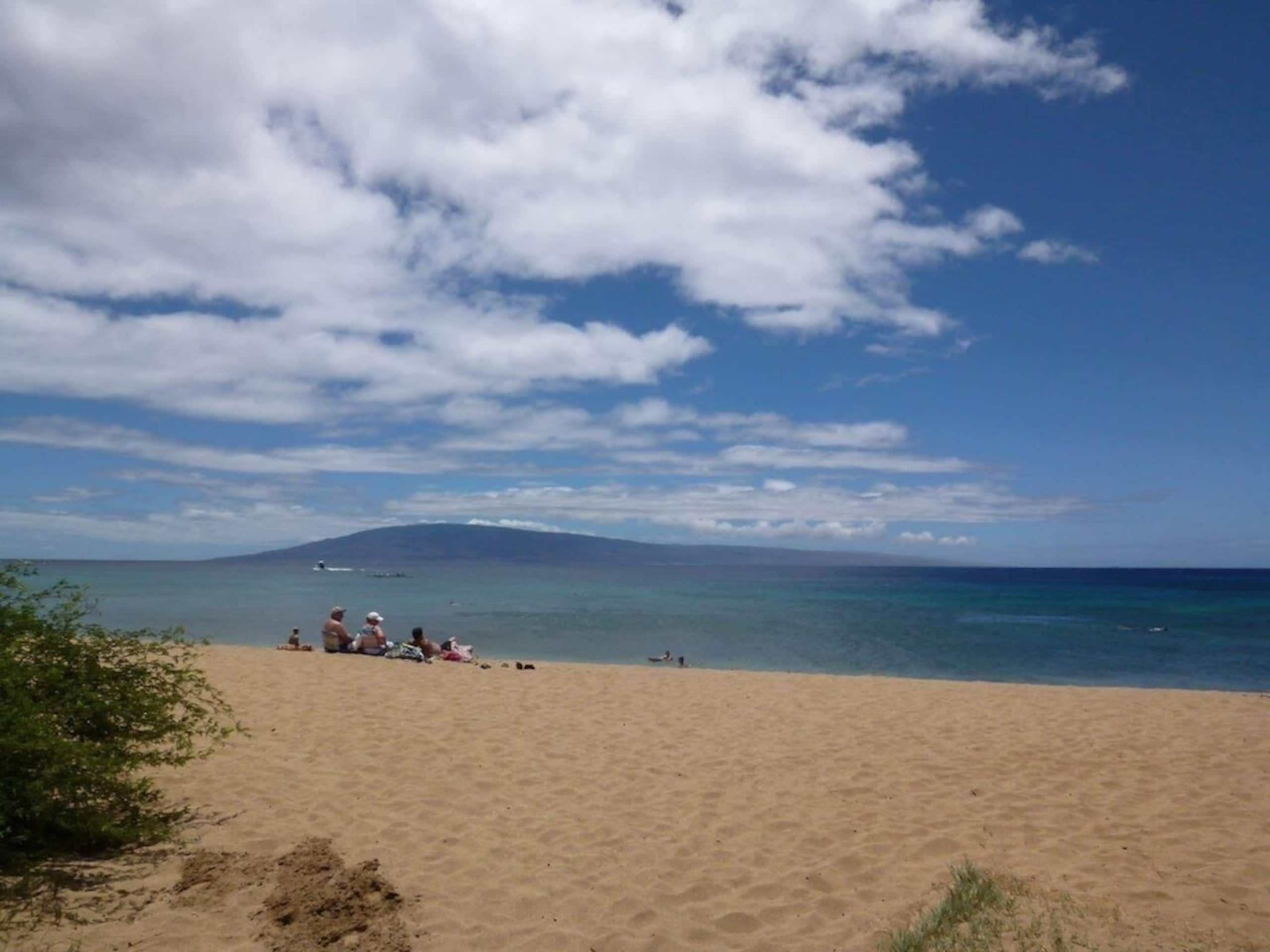 Condo in Lahaina · ★4.91 · 1 bedroom · 2 beds · 1 bath - Image 27