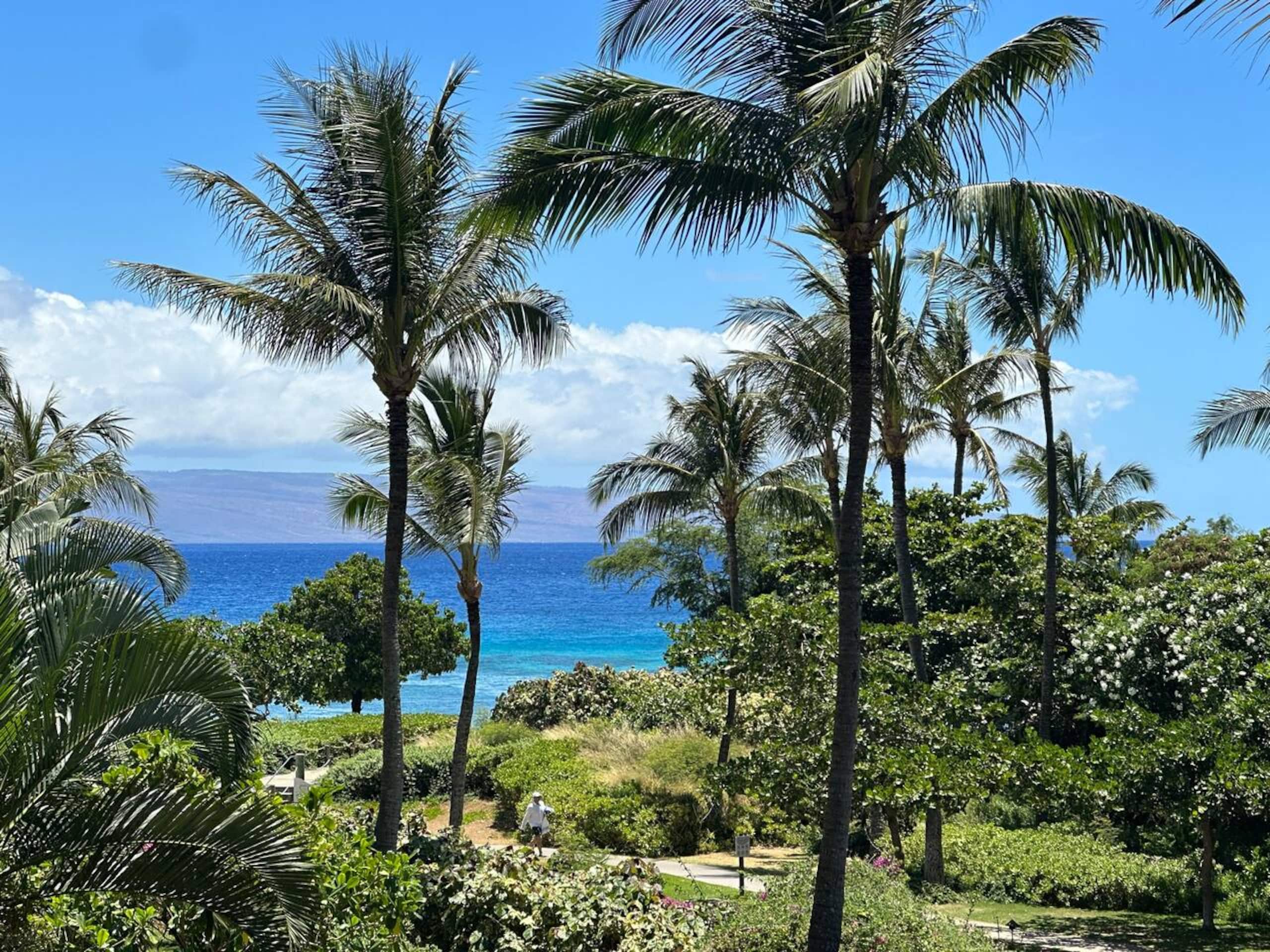 Condo in Lahaina · ★4.91 · 1 bedroom · 2 beds · 1 bath - Image 4