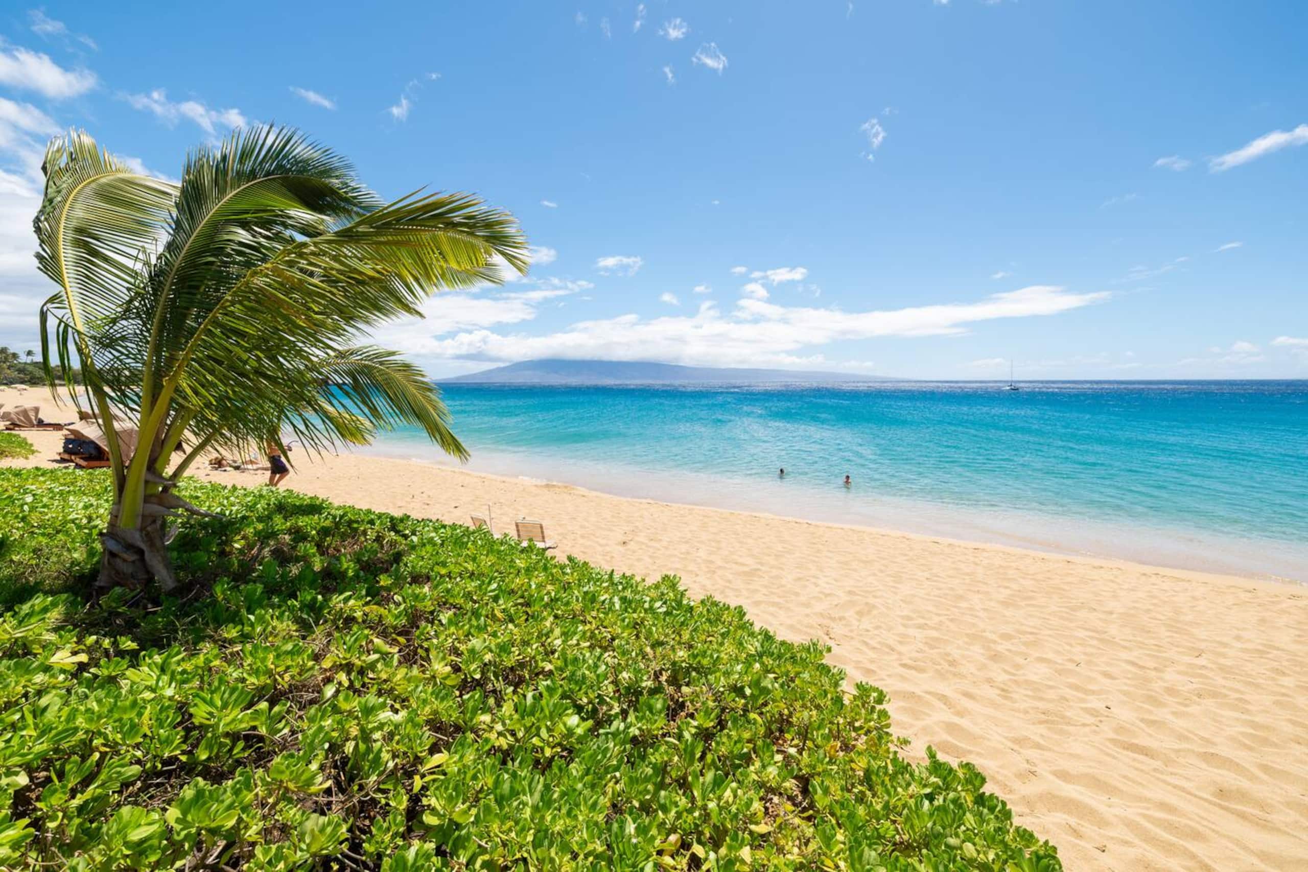 Ocean-View Studio at Kaanapali Beach - Image 67
