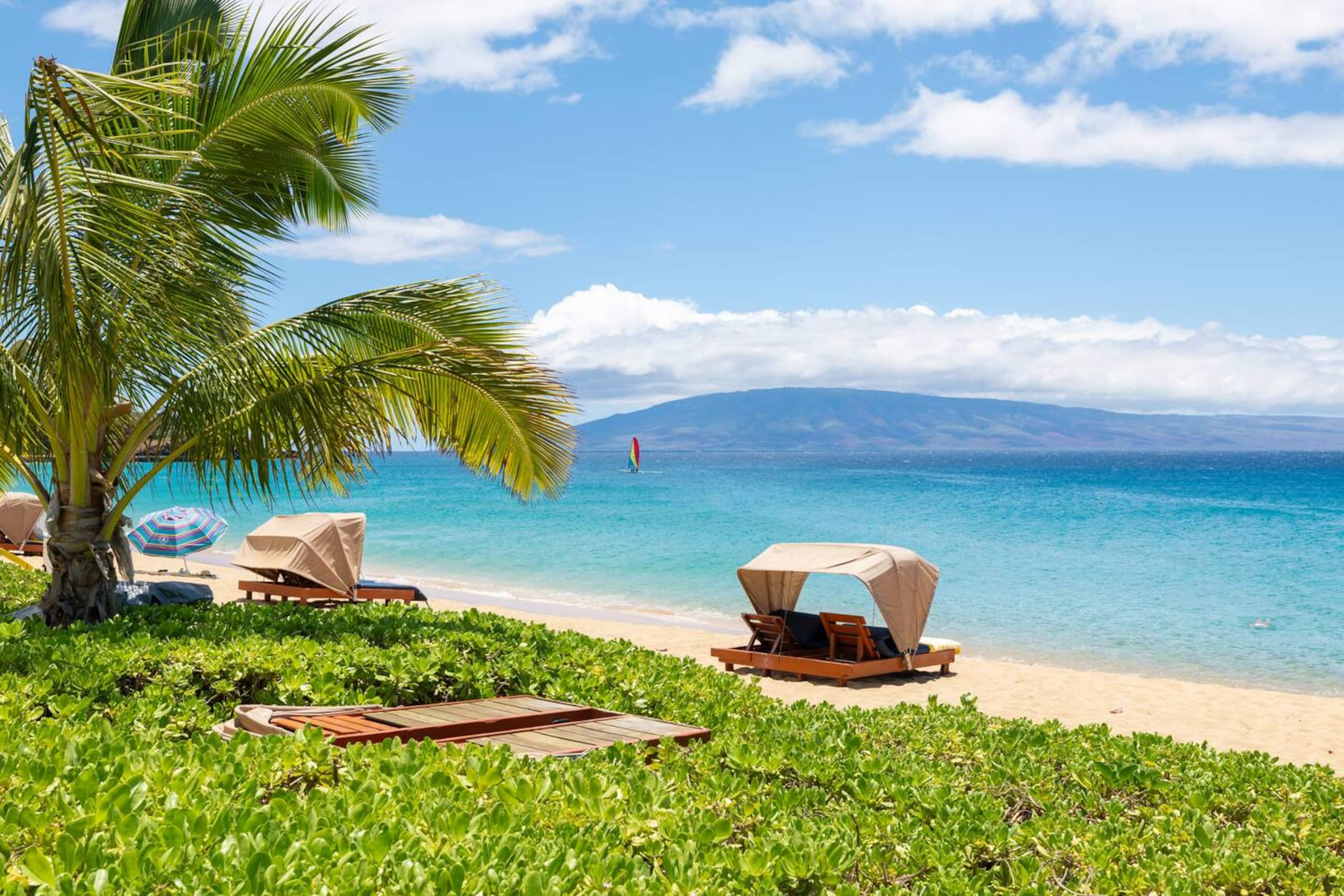 Ocean-View Studio at Kaanapali Beach - Image 3