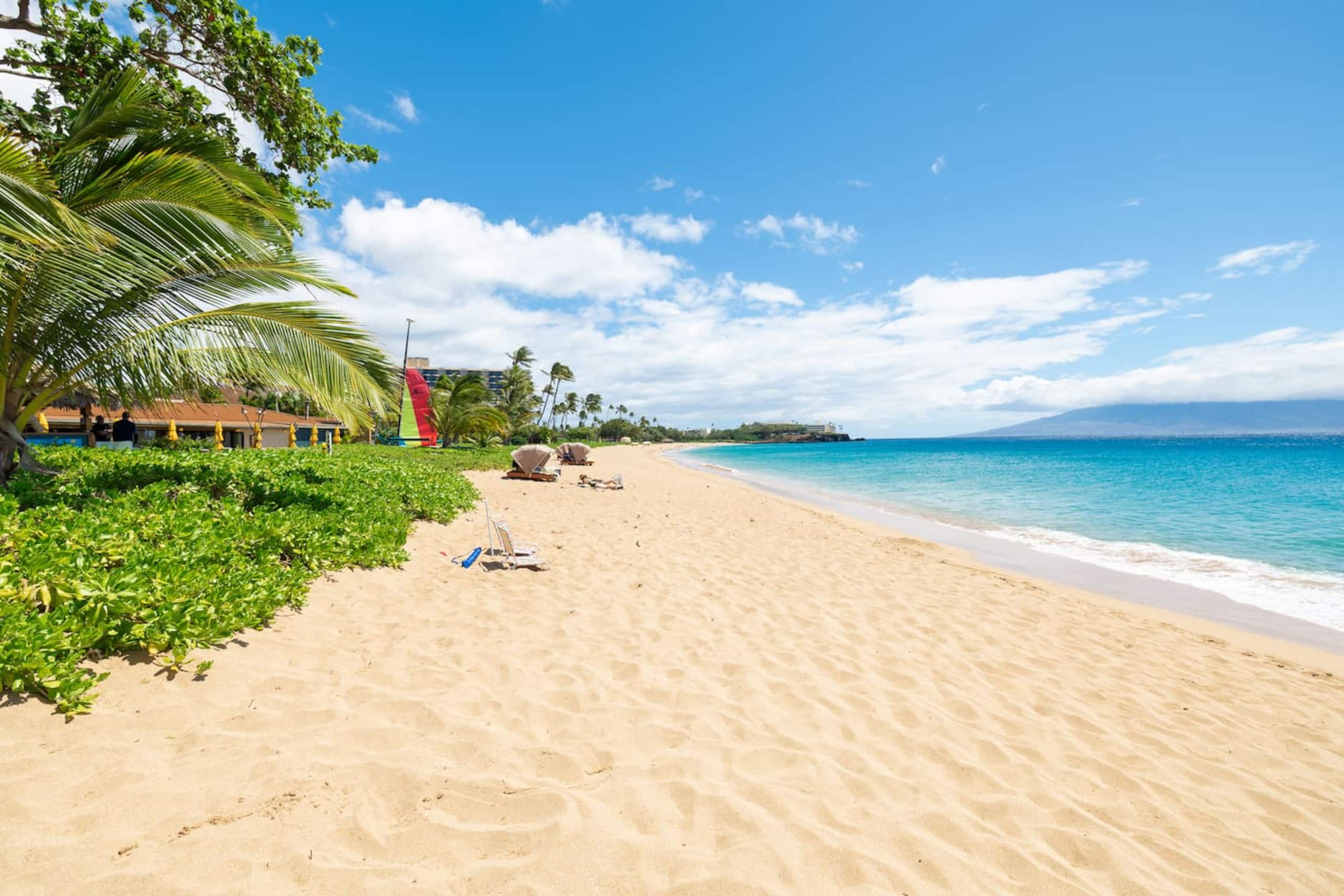 Ocean-View Studio at Kaanapali Beach - Image 9