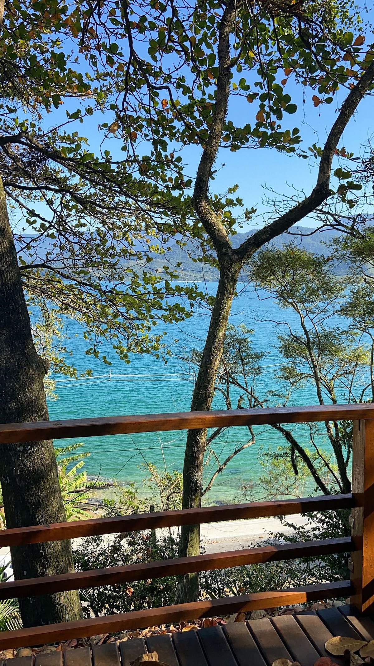 A scenic view of the ocean is framed by lush trees, with vibrant blue water visible beyond the branches. The image captures a tranquil atmosphere, highlighting the natural beauty surrounding the location.