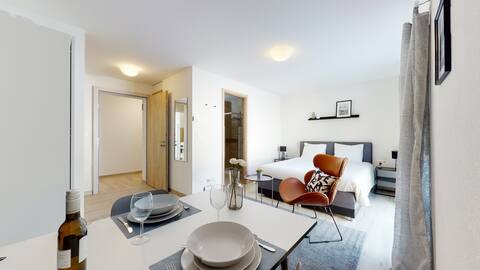 Bright studio 306 in downtown Aigle