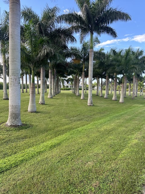Las Palmas