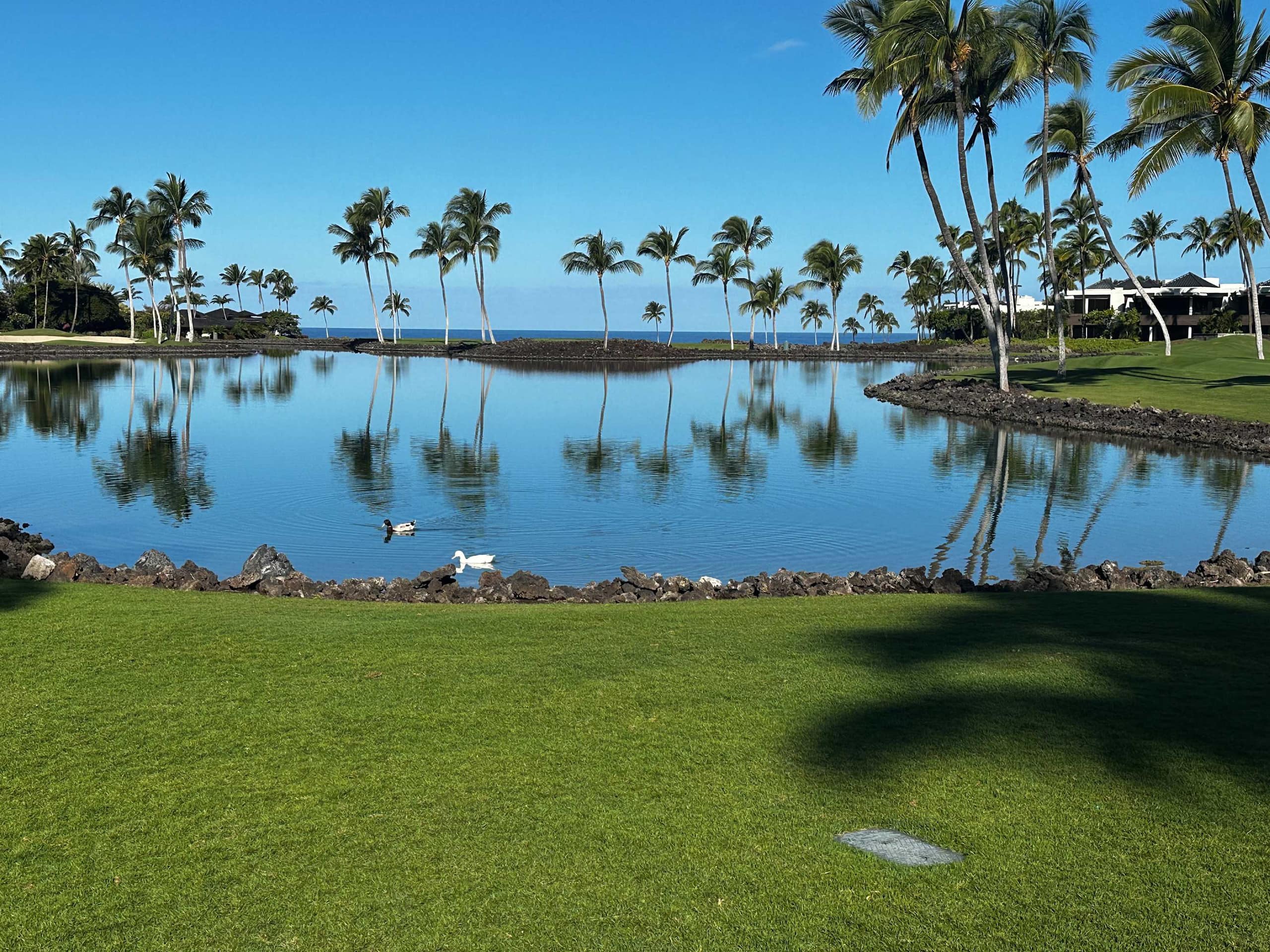 Townhouse in Waimea · ★4.85 · 3 bedrooms · 5 beds · 3 private baths - Image 85