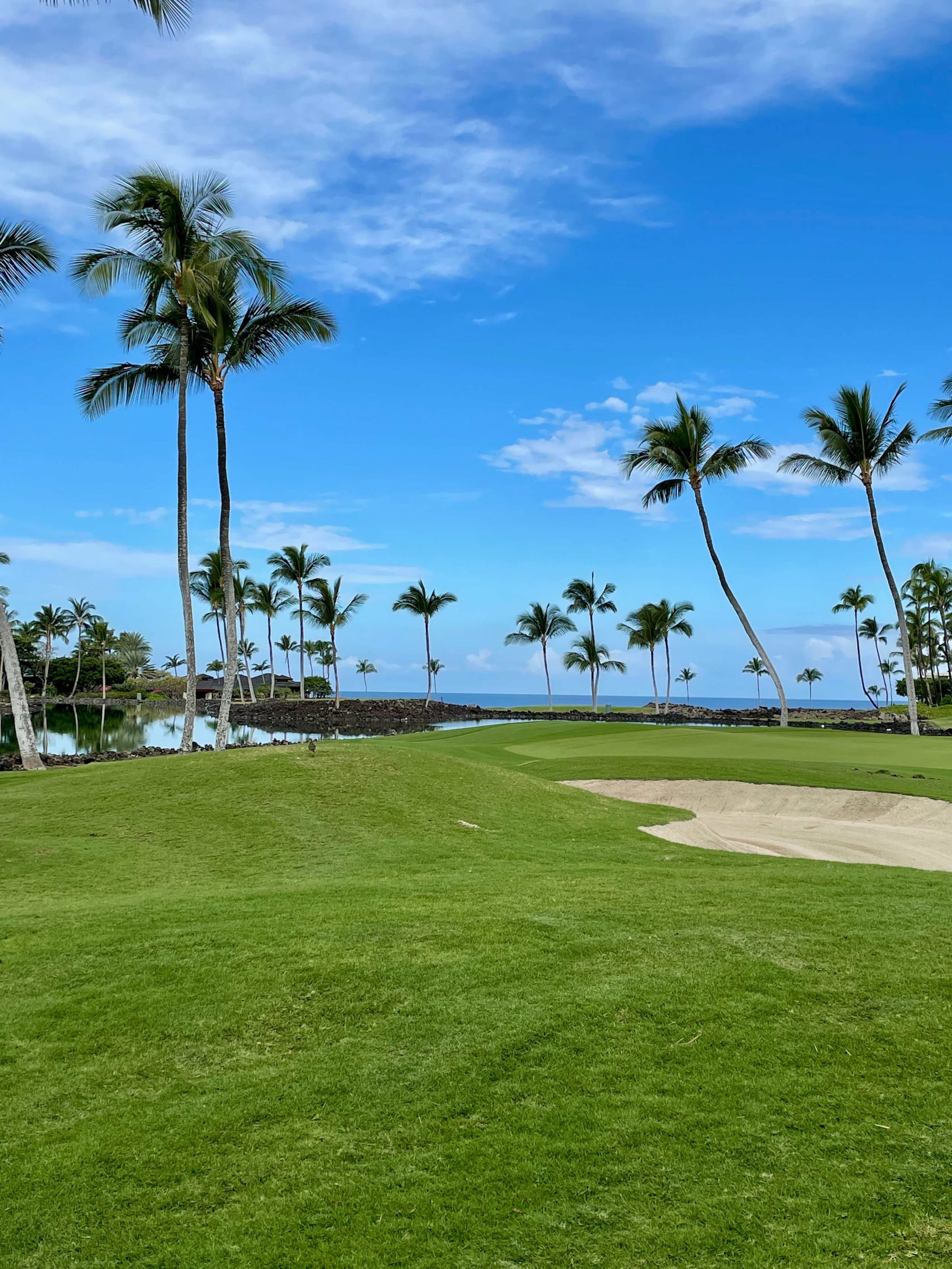 Townhouse in Waimea · ★4.85 · 3 bedrooms · 5 beds · 3 private baths - Image 100