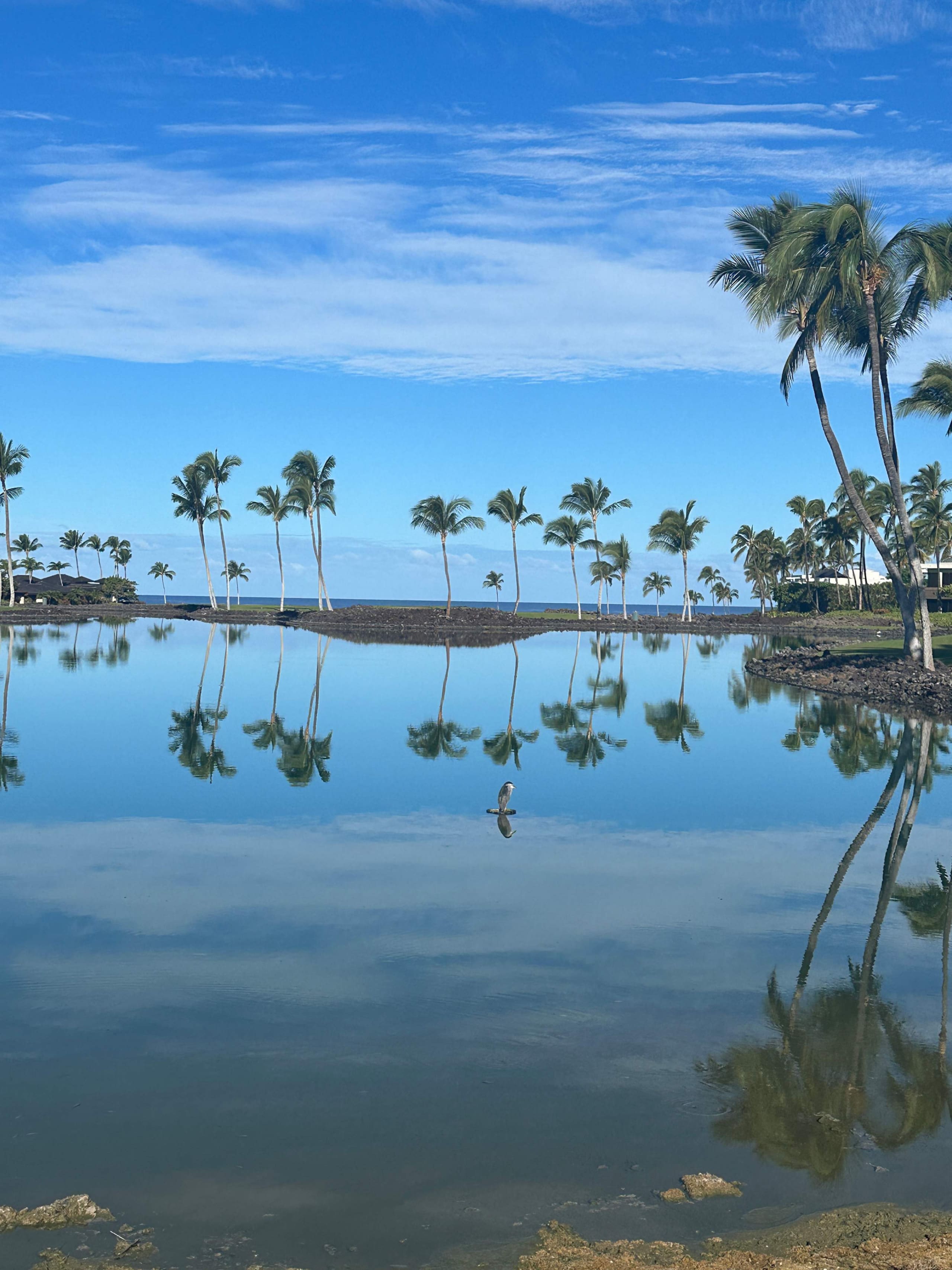 Townhouse in Waimea · ★4.85 · 3 bedrooms · 5 beds · 3 private baths - Image 92