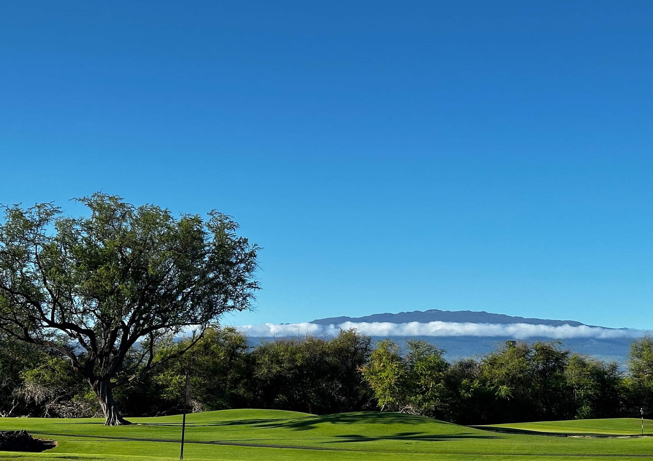 Townhouse in Waimea · ★4.85 · 3 bedrooms · 5 beds · 3 private baths - Image 97