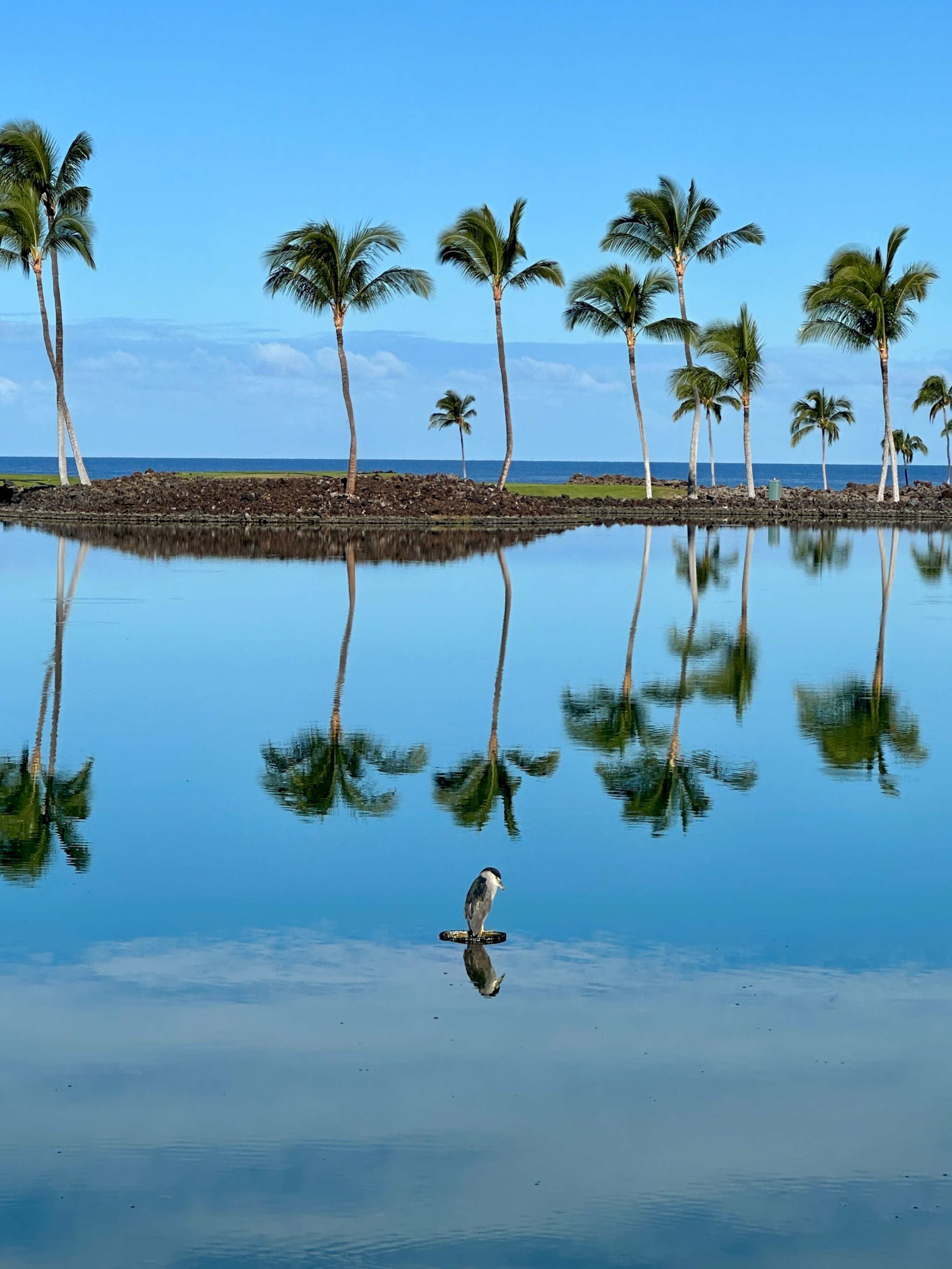 Townhouse in Waimea · ★4.85 · 3 bedrooms · 5 beds · 3 private baths - Image 111