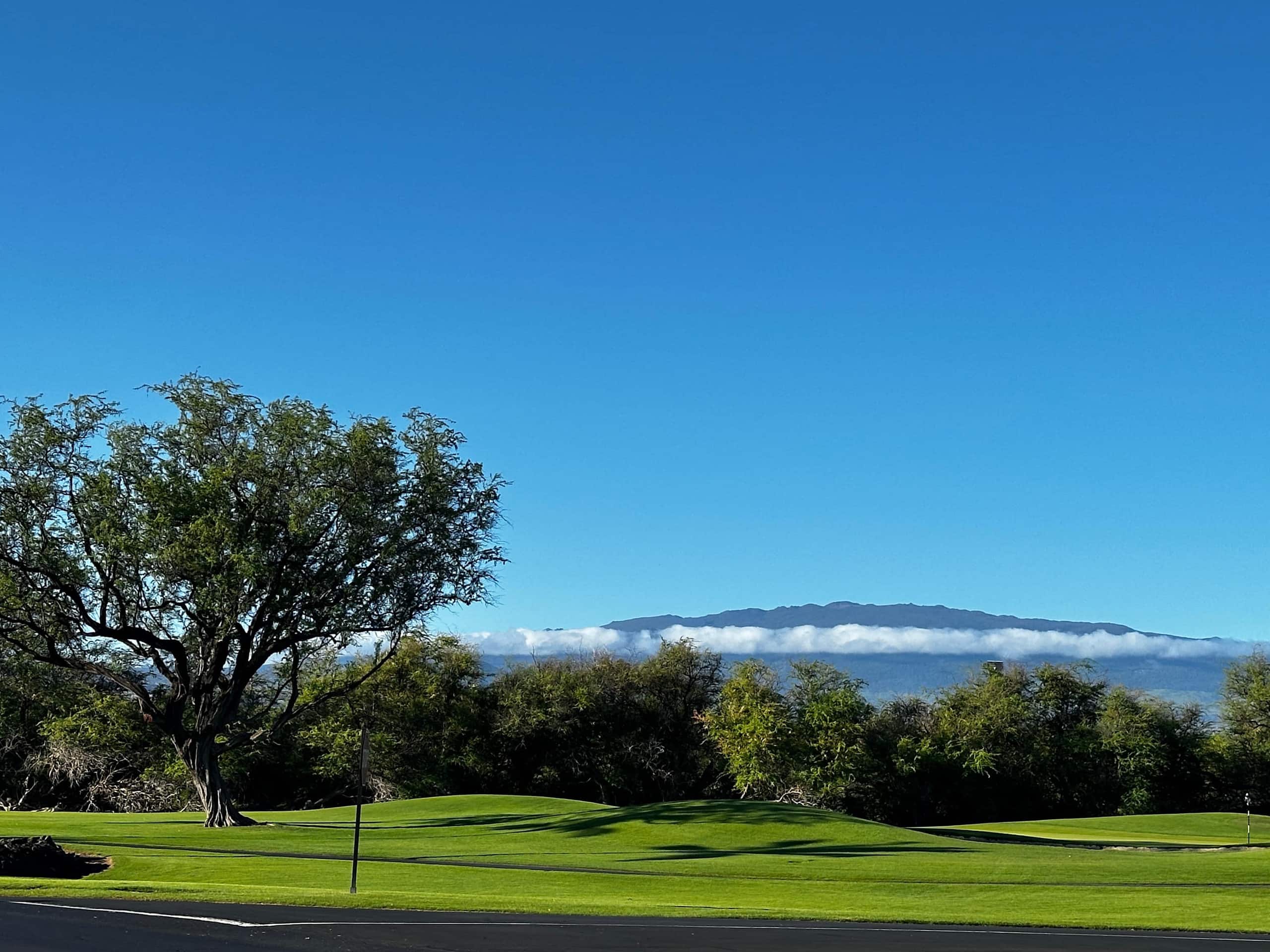 Townhouse in Waimea · ★4.85 · 3 bedrooms · 5 beds · 3 private baths - Image 88