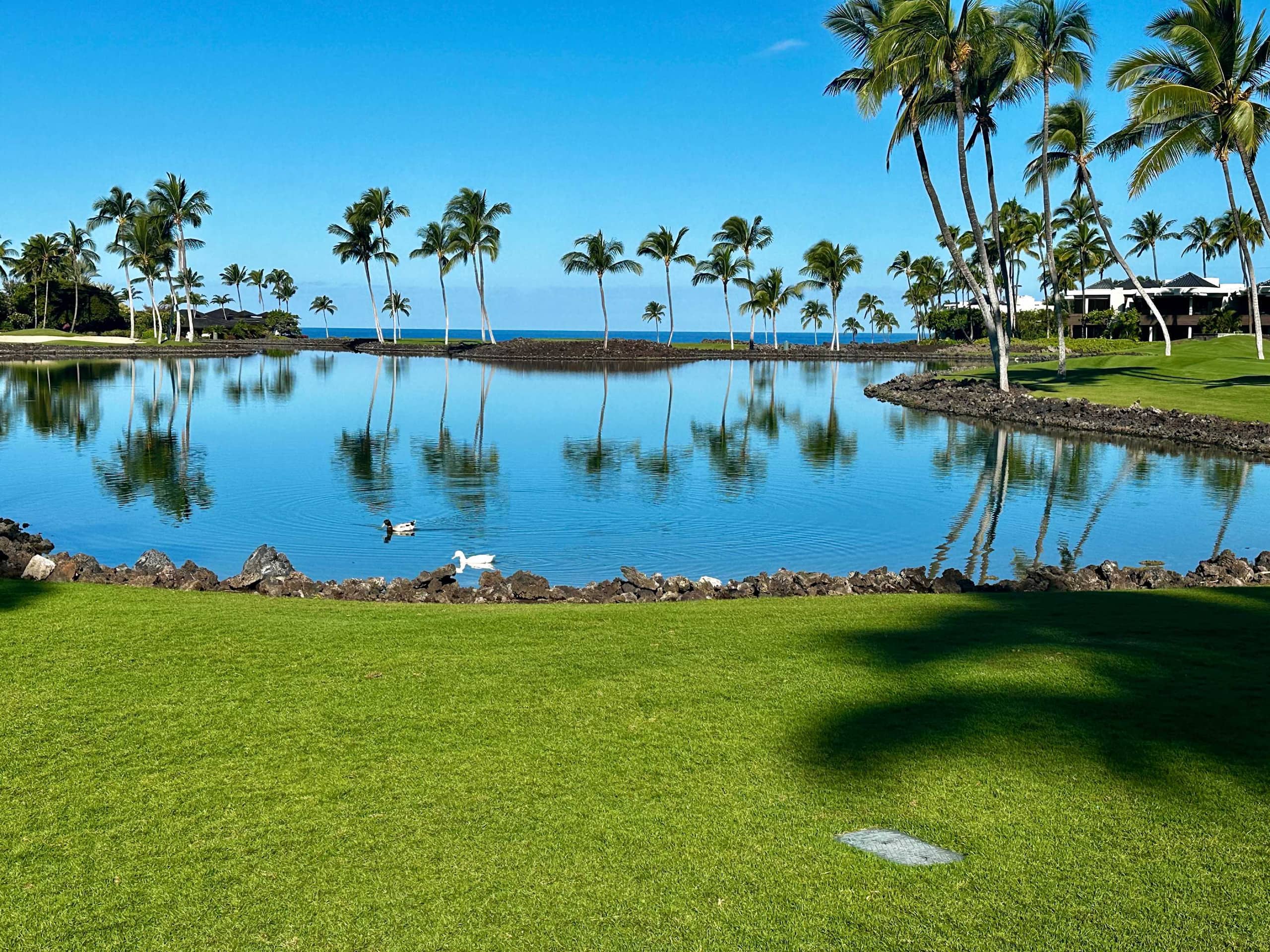 Townhouse in Waimea · ★4.85 · 3 bedrooms · 5 beds · 3 private baths - Image 103