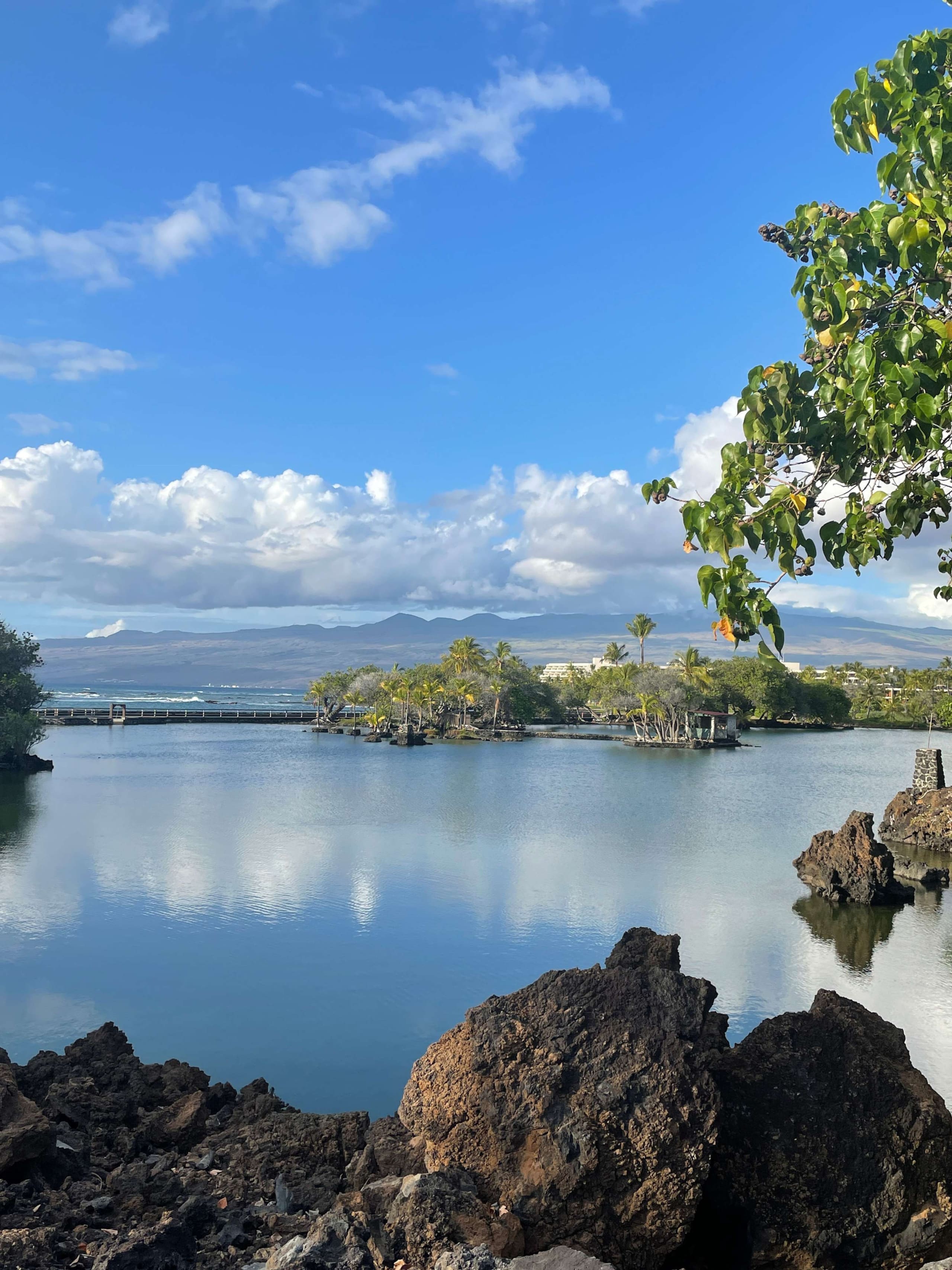 Townhouse in Waimea · ★4.85 · 3 bedrooms · 5 beds · 3 private baths - Image 84
