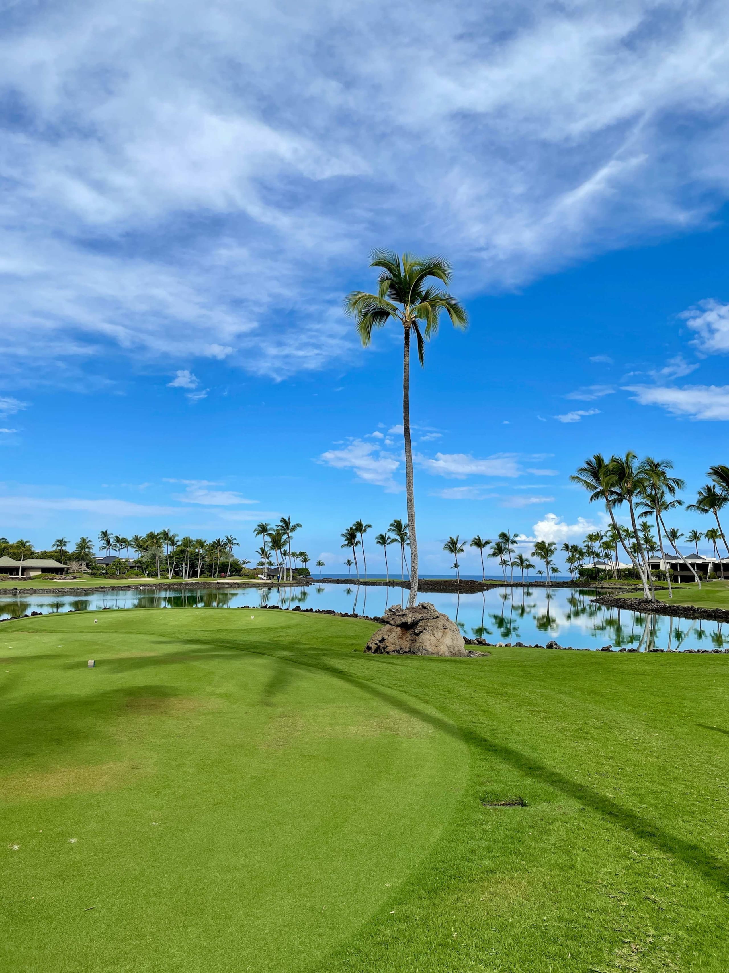 Townhouse in Waimea · ★4.85 · 3 bedrooms · 5 beds · 3 private baths - Image 101