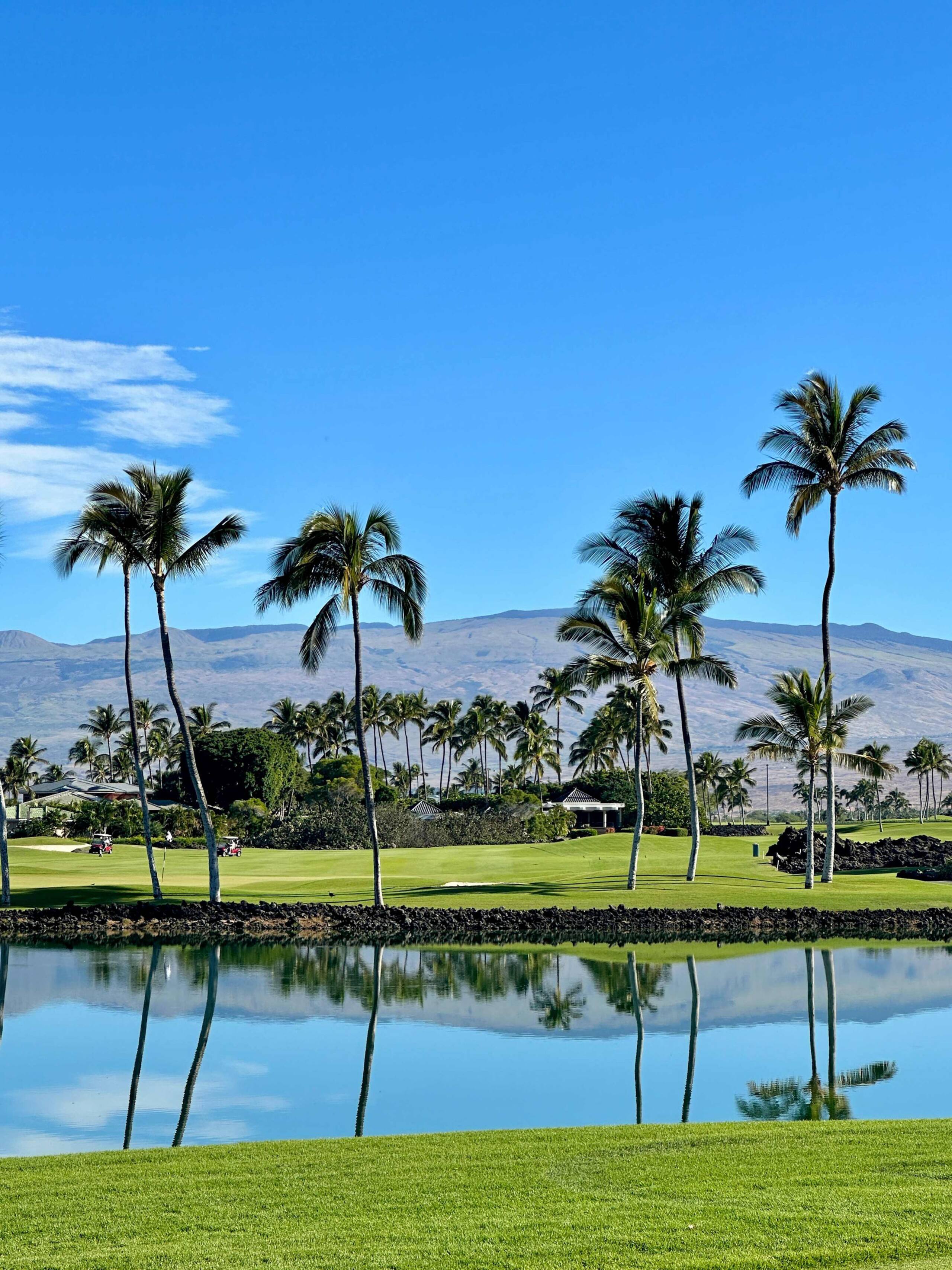 Townhouse in Waimea · ★4.85 · 3 bedrooms · 5 beds · 3 private baths - Image 99