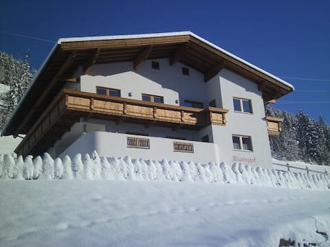 Nice apartment close to the ski area