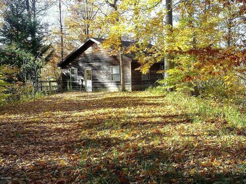 Riverview Cabin on 150 Acres of Nature