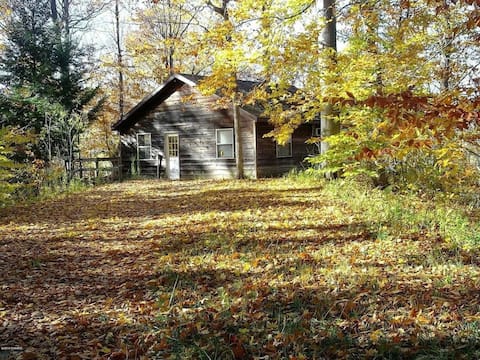 Riverview Cabin on 150 Acres of Nature