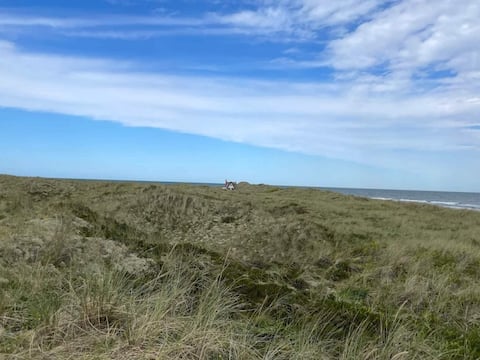 Top performing Airbnb: 6 person holiday home in Lesø in Læsø