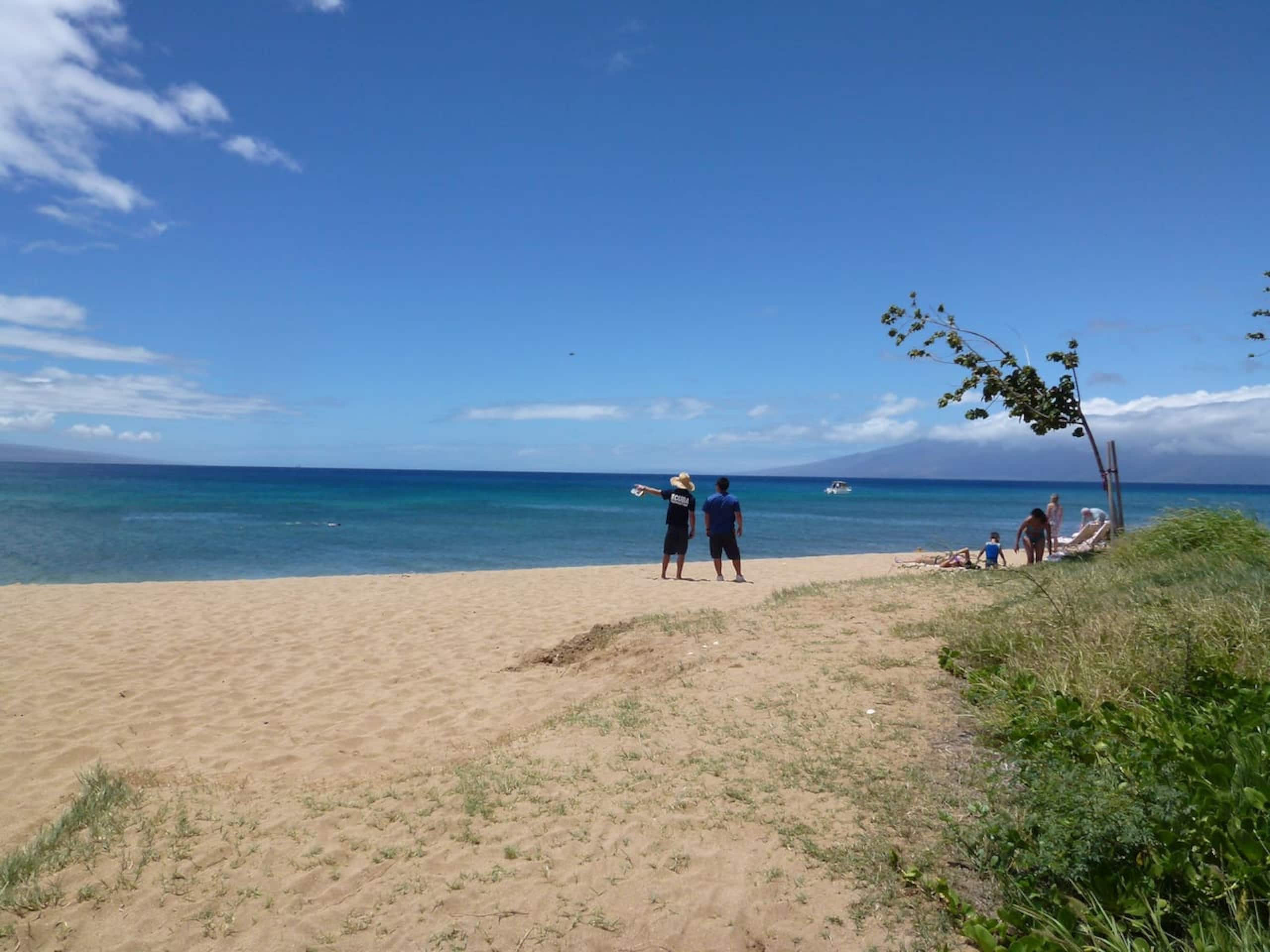 Condo in Lahaina · ★4.98 · 1 bedroom · 1 bed · 1 bath - Image 33