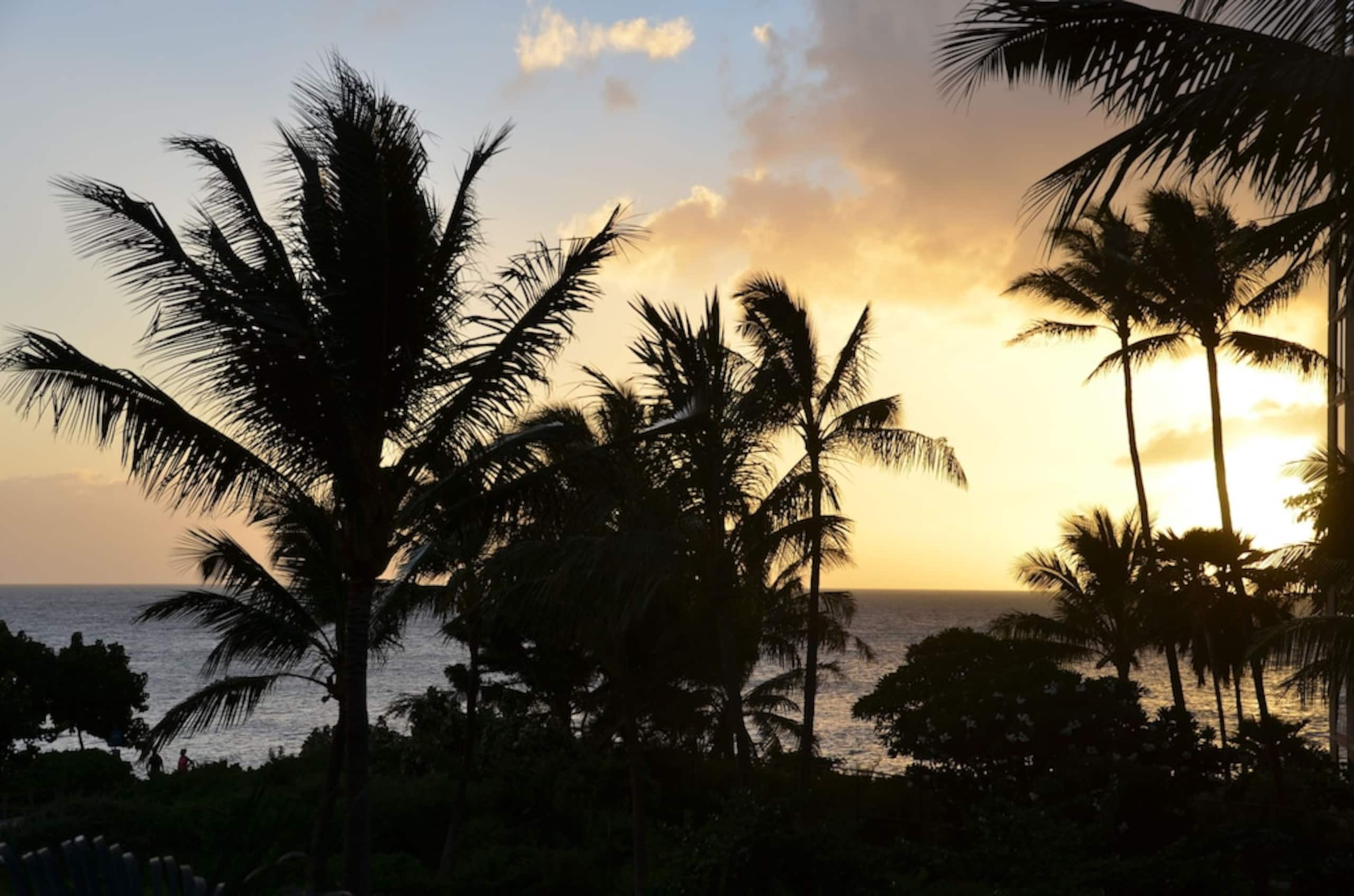 Condo in Lahaina · ★4.98 · 1 bedroom · 1 bed · 1 bath - Image 16