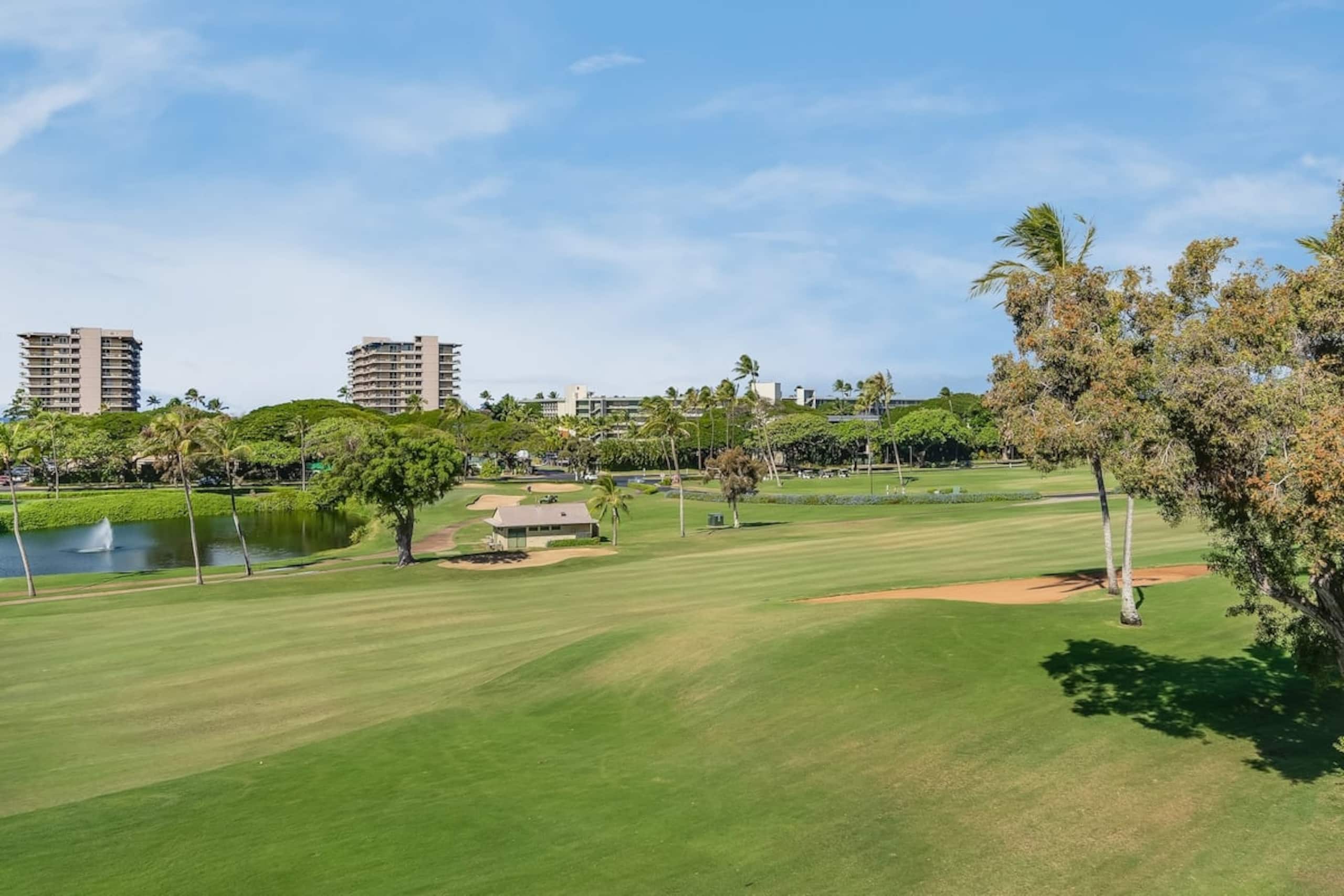 Condo in Lahaina · ★4.47 · 2 bedrooms · 2 beds · 2 baths - Image 24