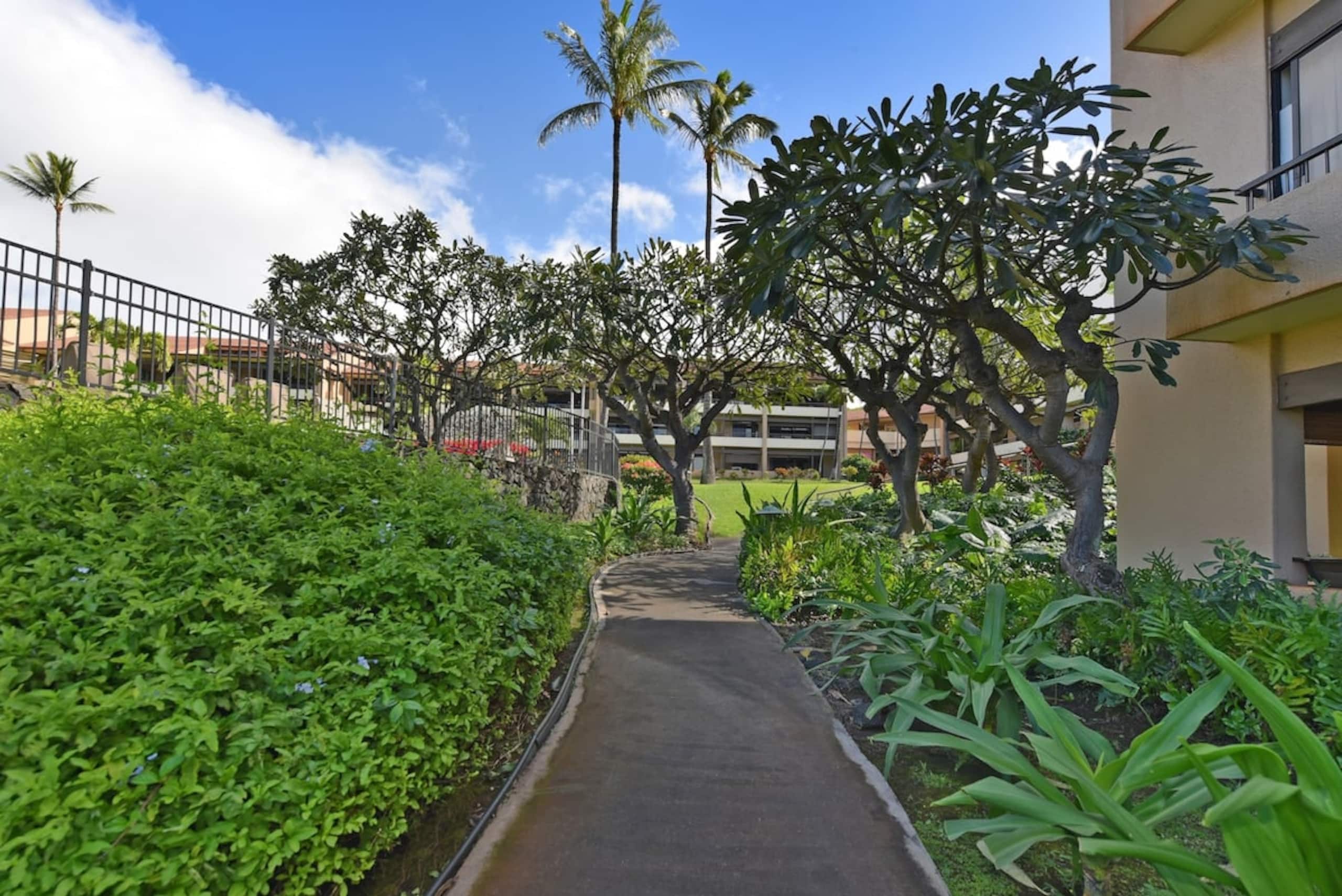 Condo in Lahaina · ★4.47 · 2 bedrooms · 2 beds · 2 baths - Image 28