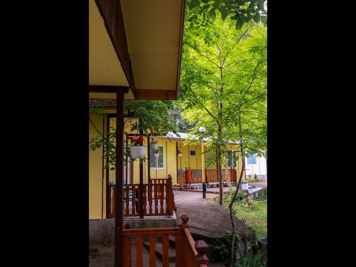 A view of the bungalow complex is presented, featuring yellow exterior walls and wooden railings. Lush green trees provide shade around the area, while a small stone pathway connects the bungalows, offering access to the outdoor seating spaces.
